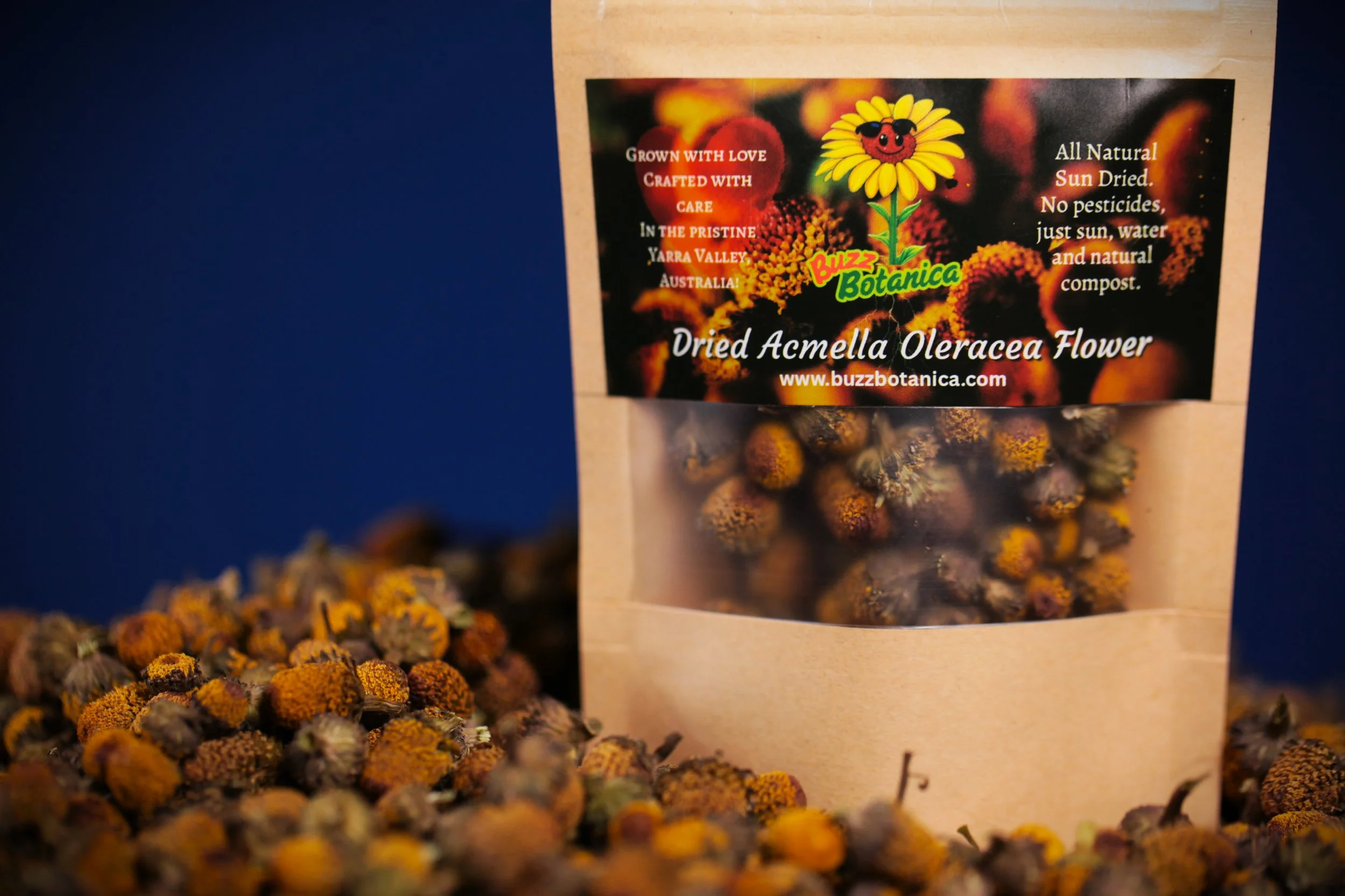 dried buzz botanica.JPG