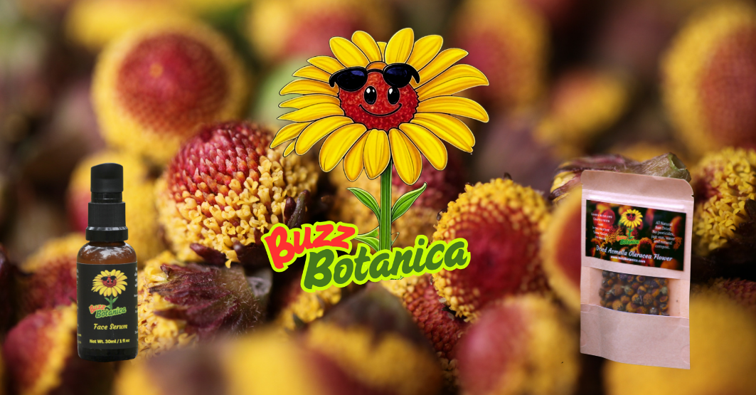 Buzz Botanica Spilanthes Flowers