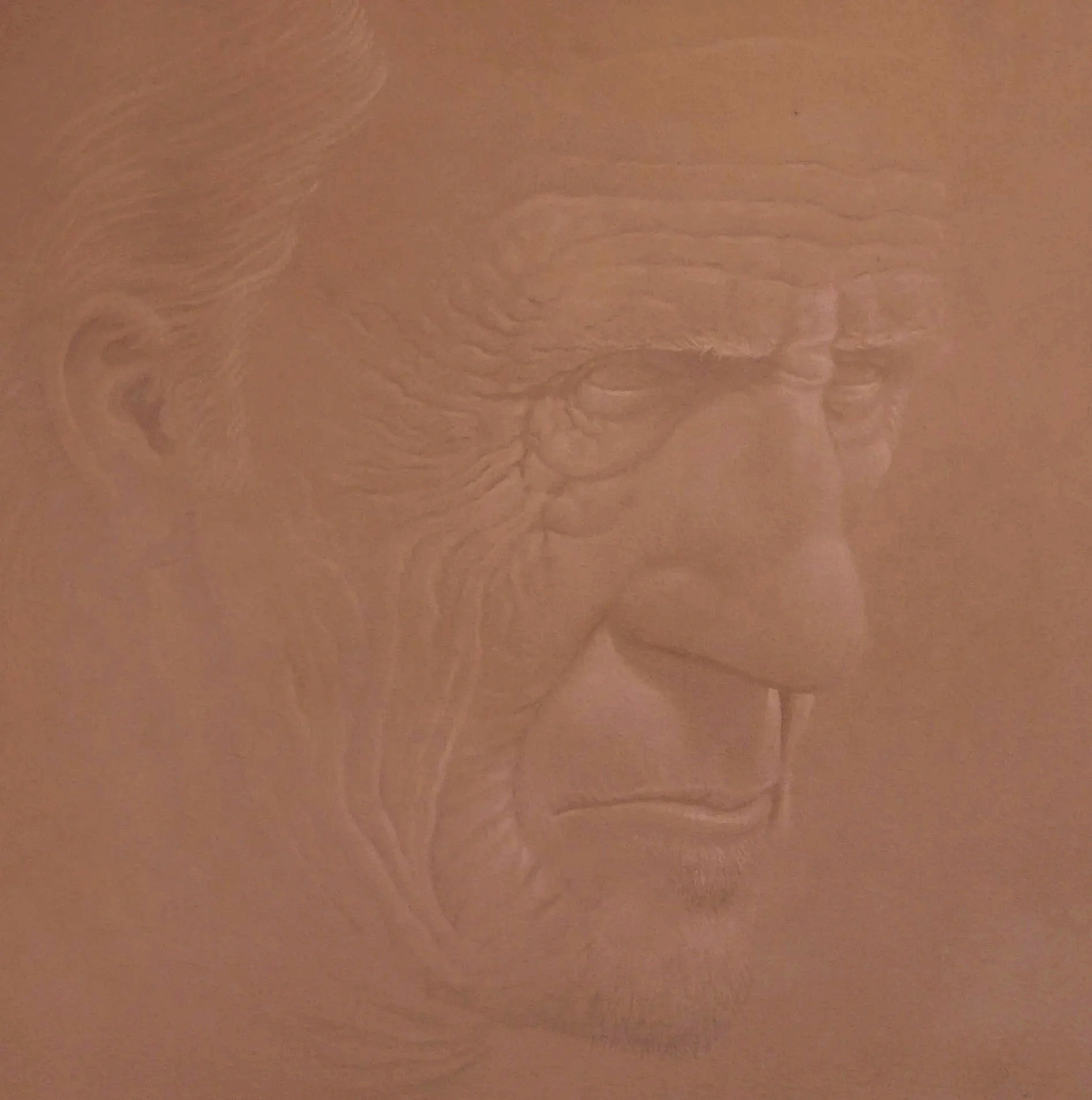 Self Portrait As An Old Man