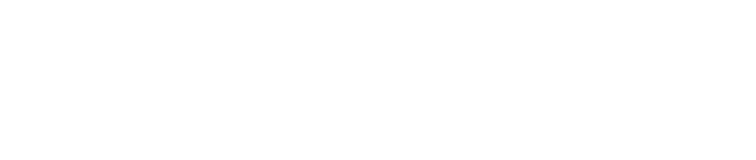 LatinNews Consulting
