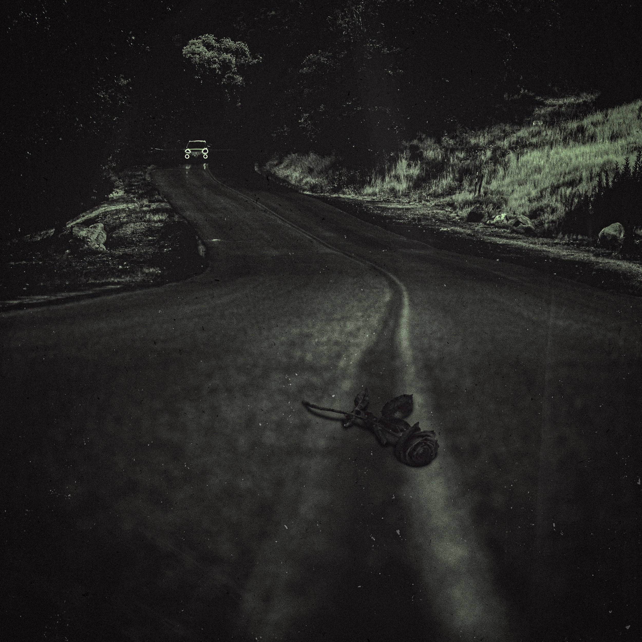 rose on highway.png