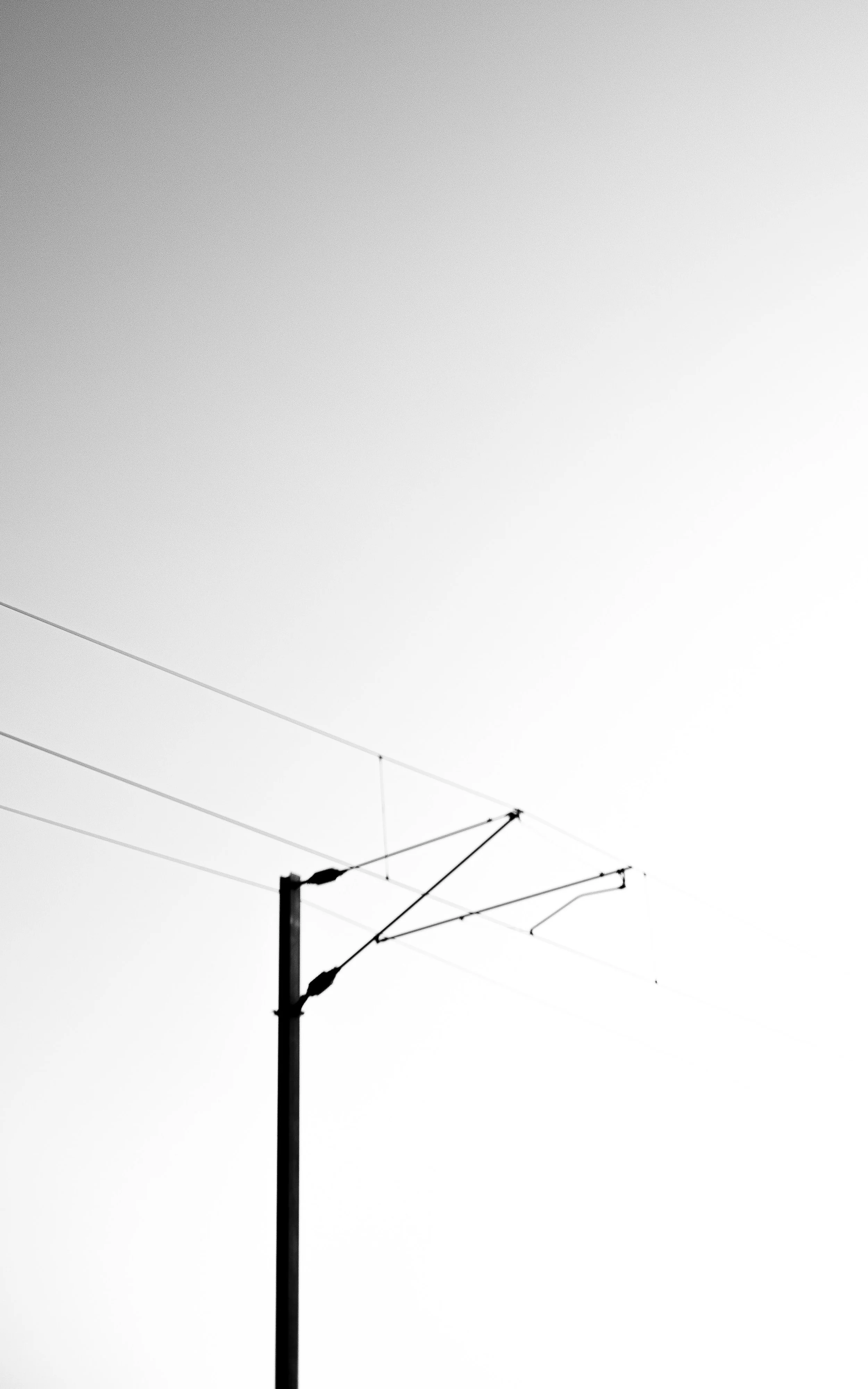 T2LA6916.jpg