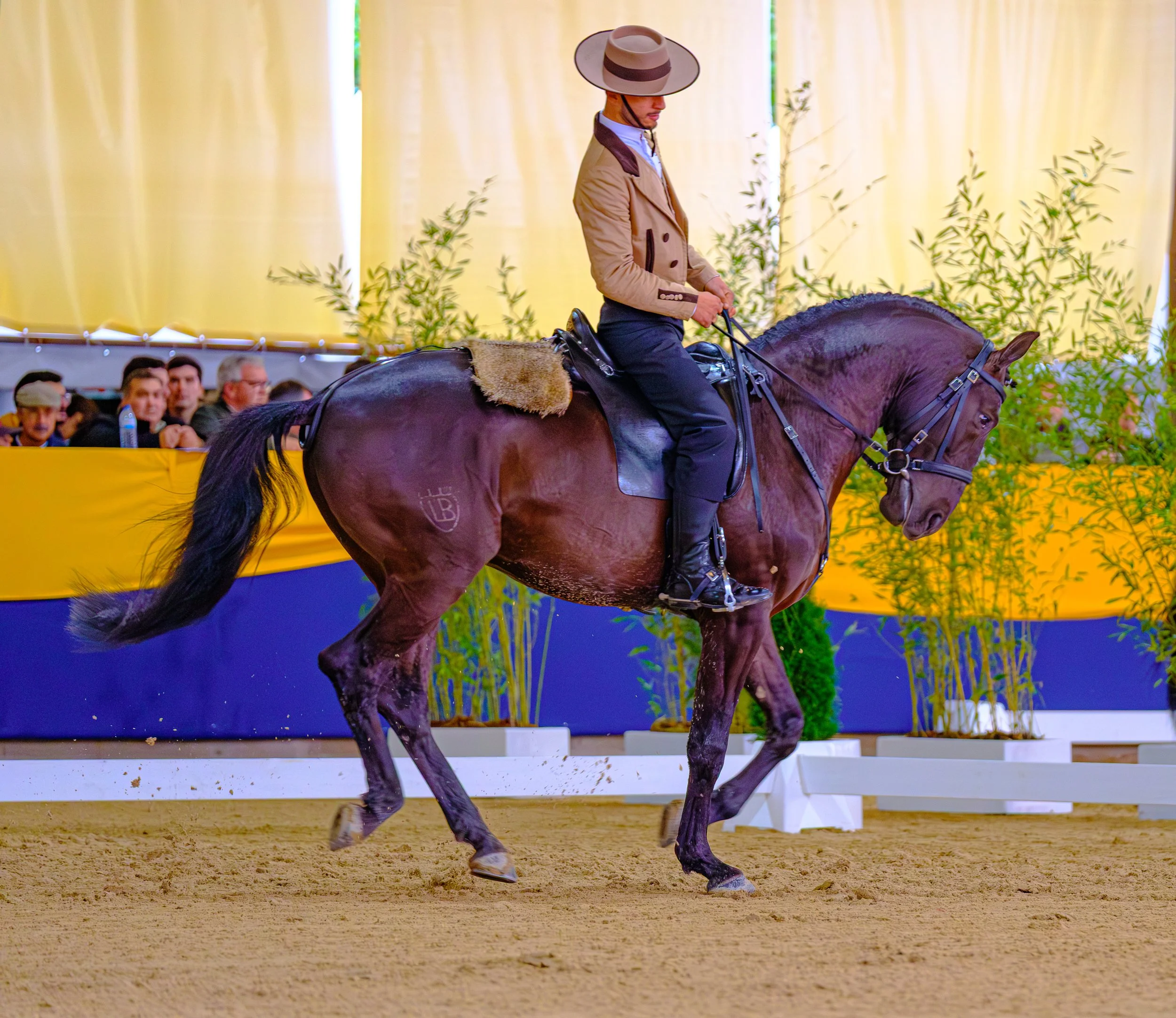 III Salão do Cavalo Lusitano