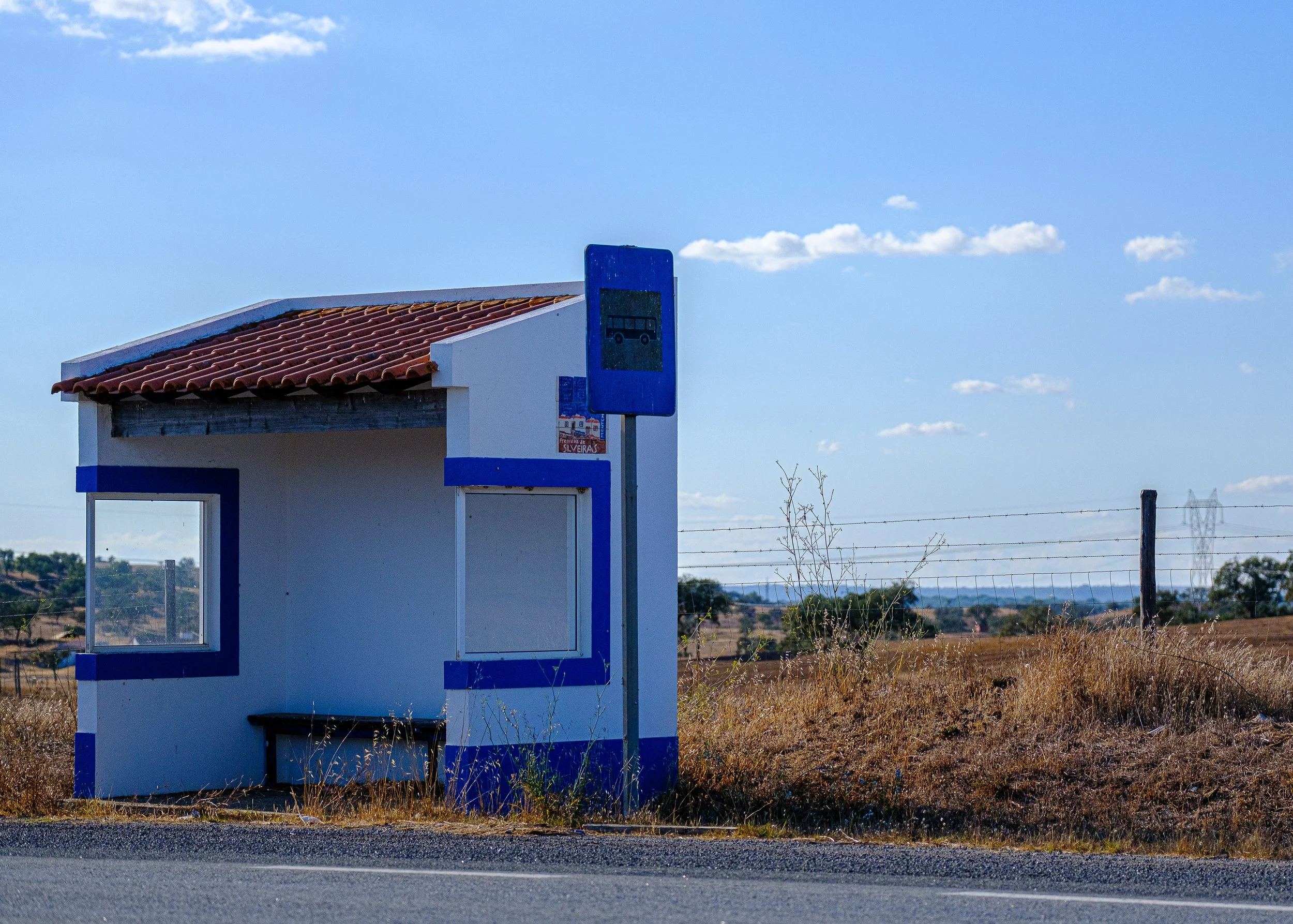 DSCF8009.jpg