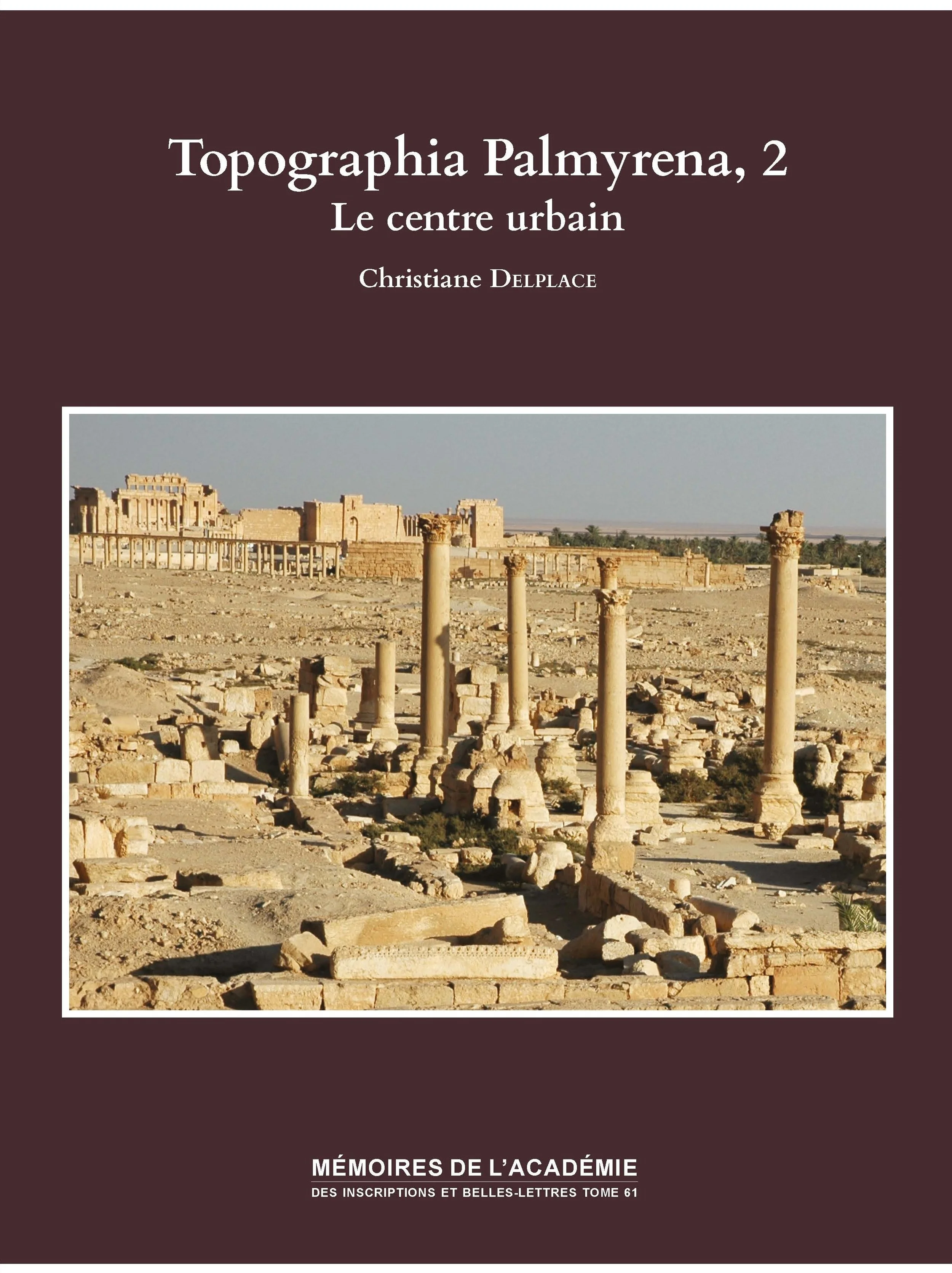 Tome 61. Topographia Palmyrena, 2. Le Centre Urbain