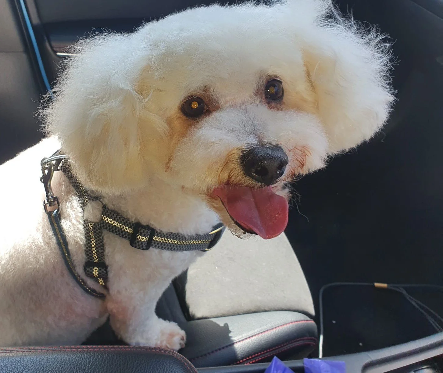 Odin, Office Goodboy