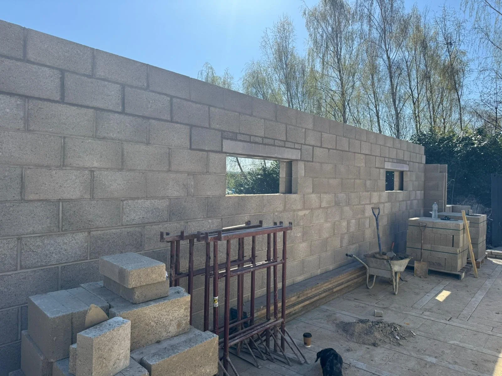 PHOTO-2025-08-28-11-59-12 9.jpg