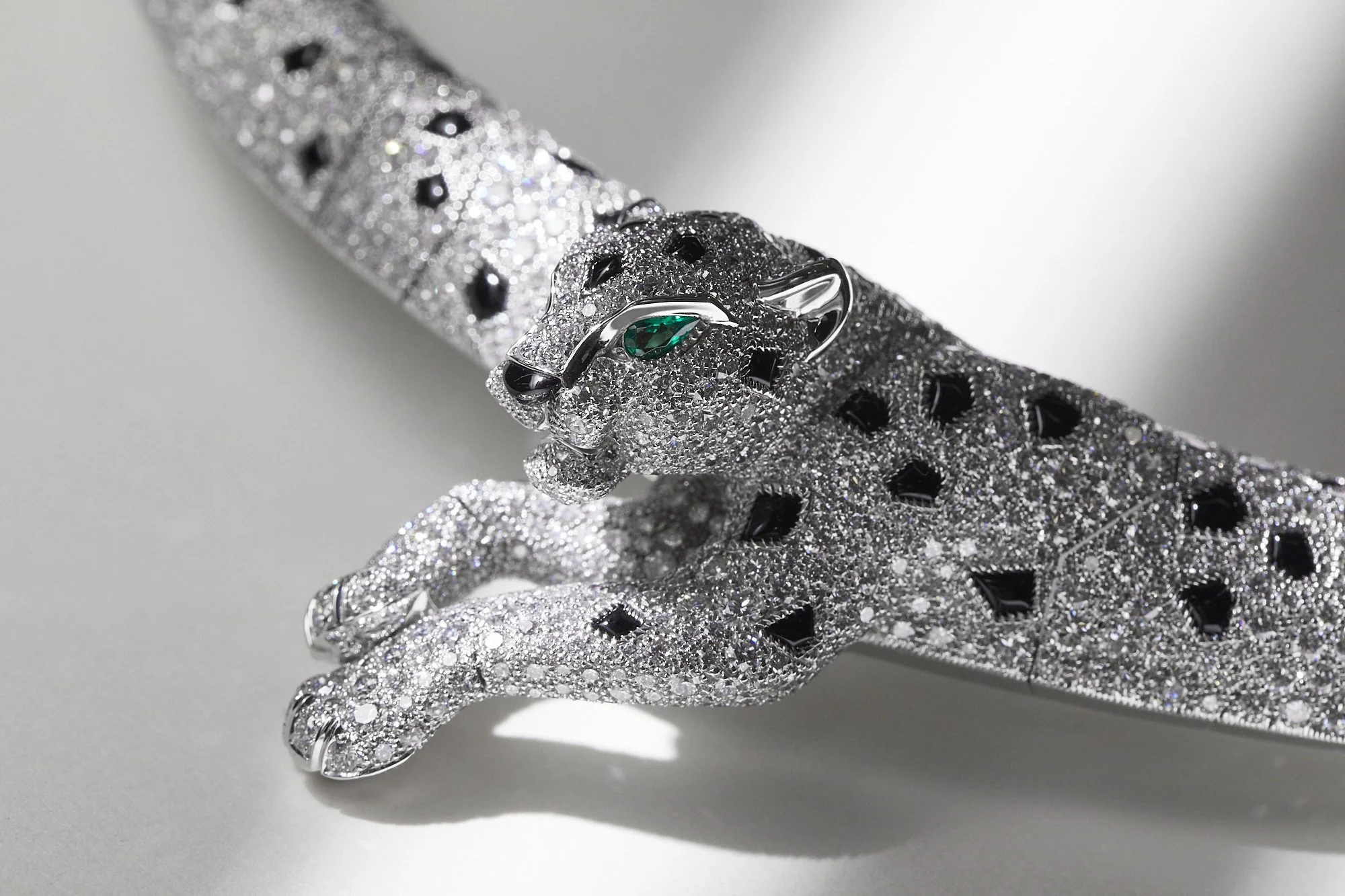 250612_CARTIER_SERTI_PELAGE_09.jpg