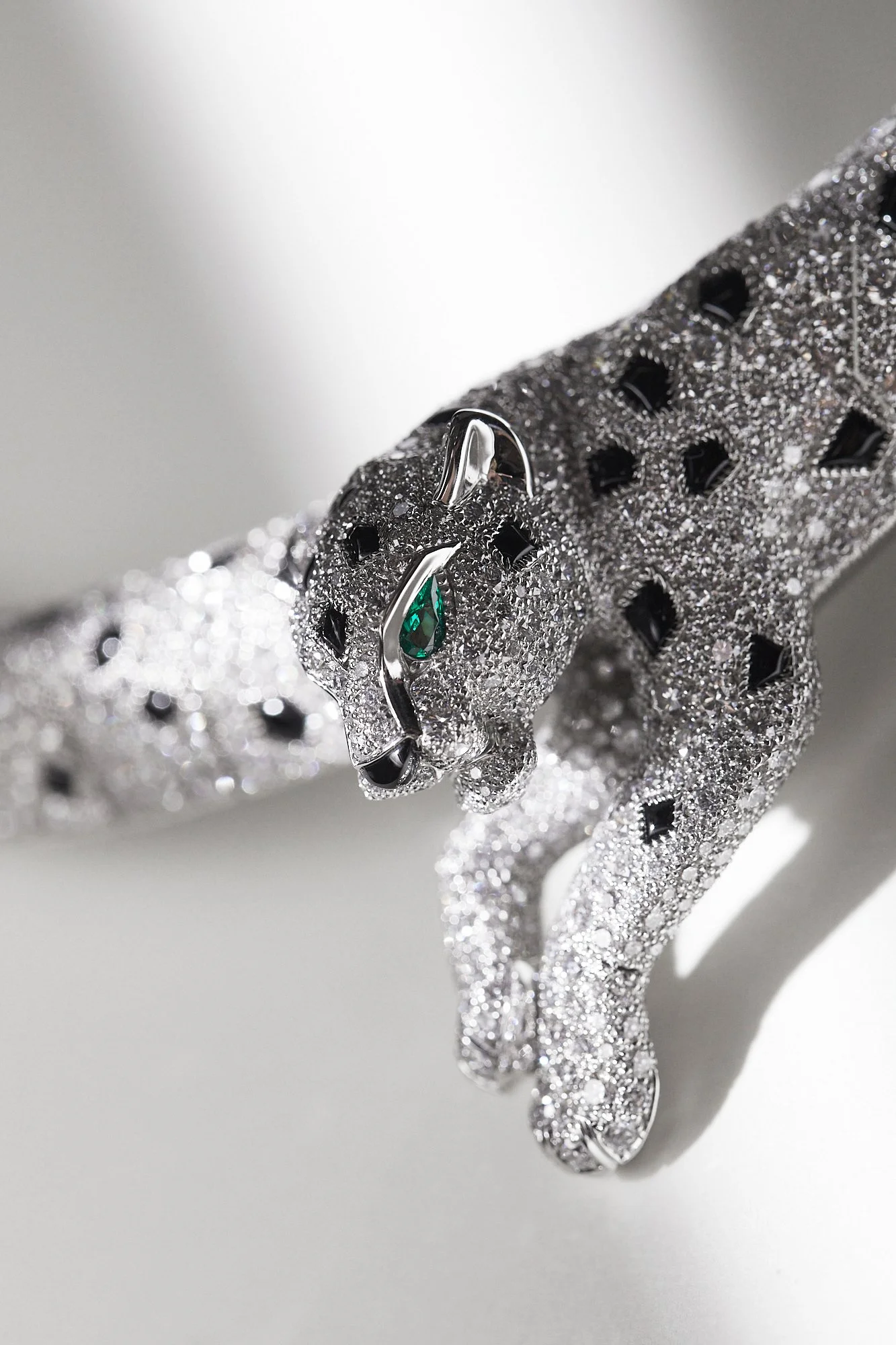 250612_CARTIER_SERTI_PELAGE_01.jpg
