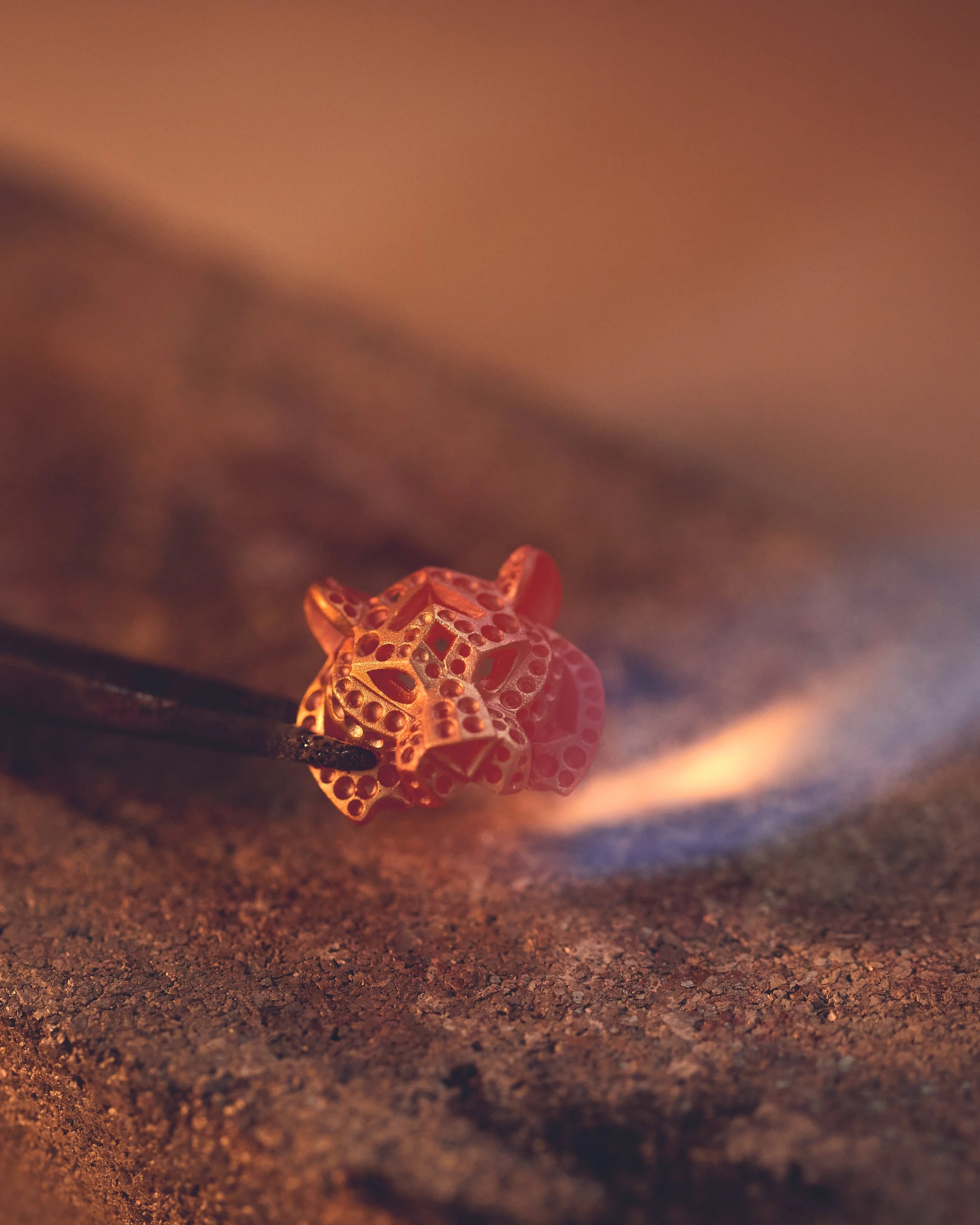 04_SF SET TIGRE_24x30_CMJN4.jpg