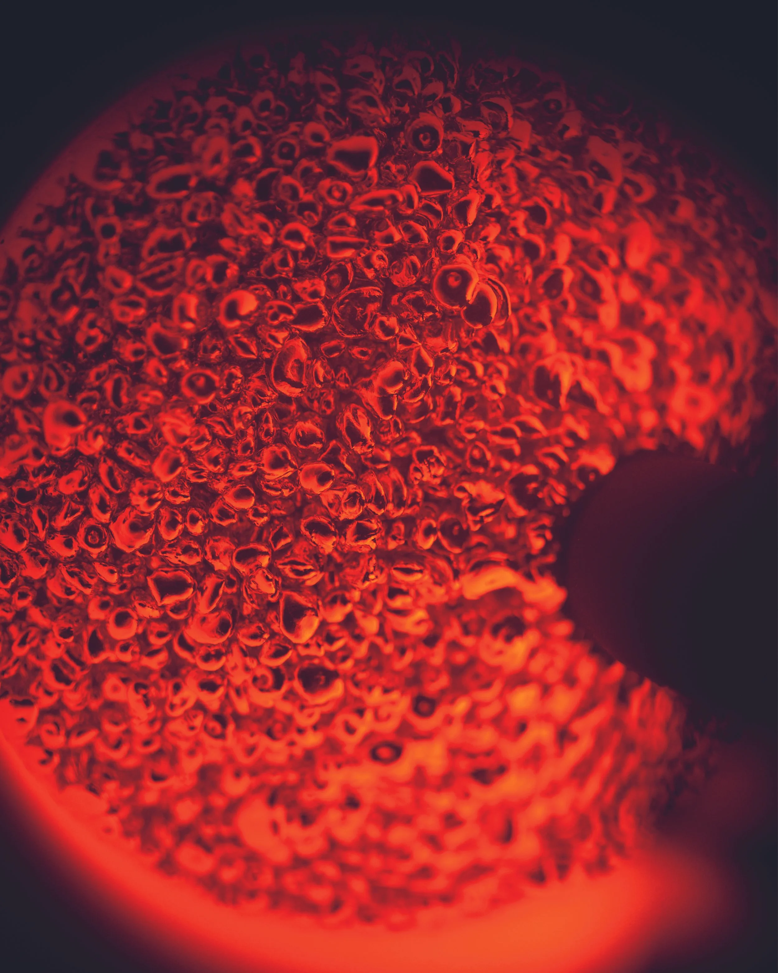 04_SF SET TIGRE_24x30_CMJN2.jpg