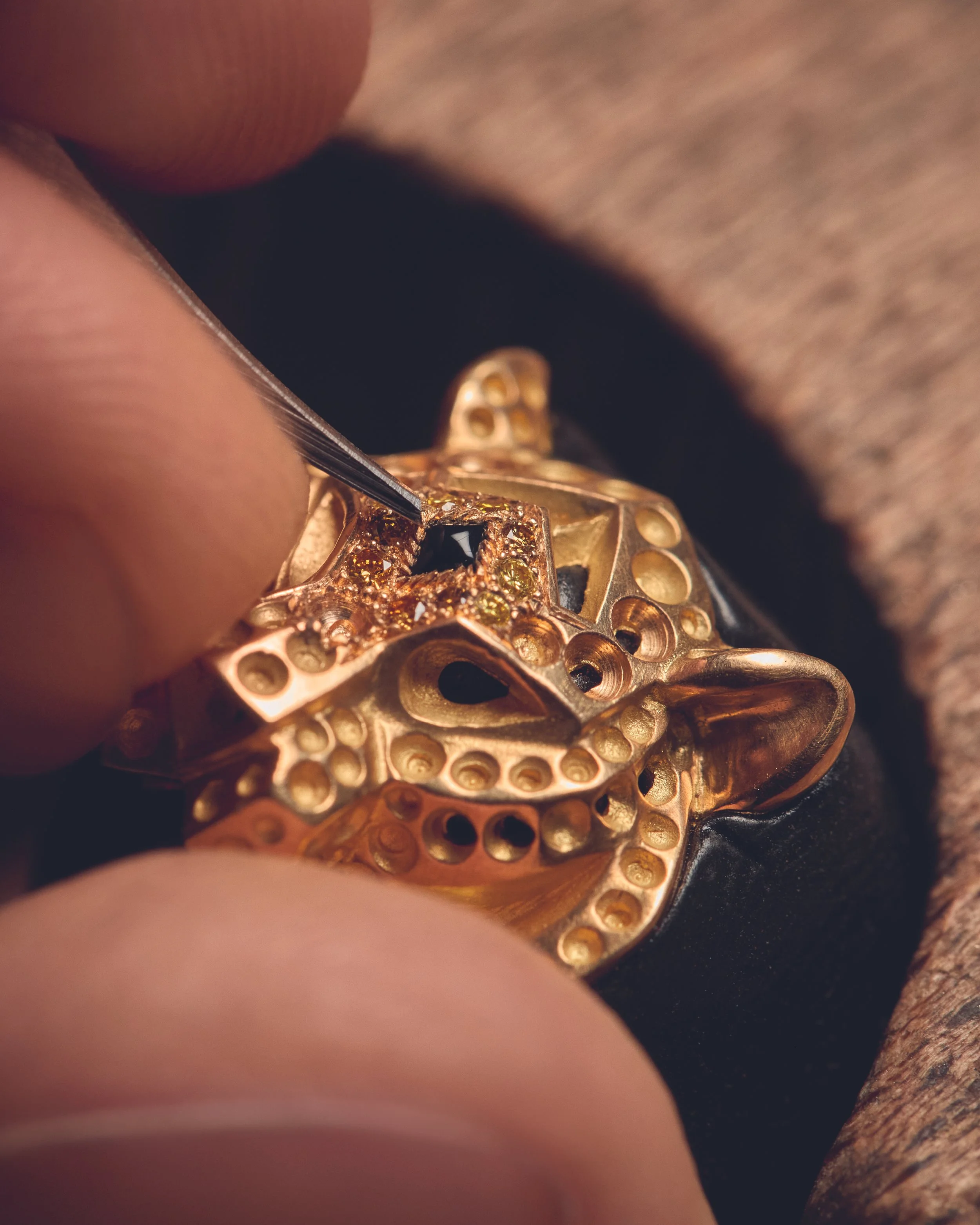 04_SF SET TIGRE_24x30_CMJN22.jpg