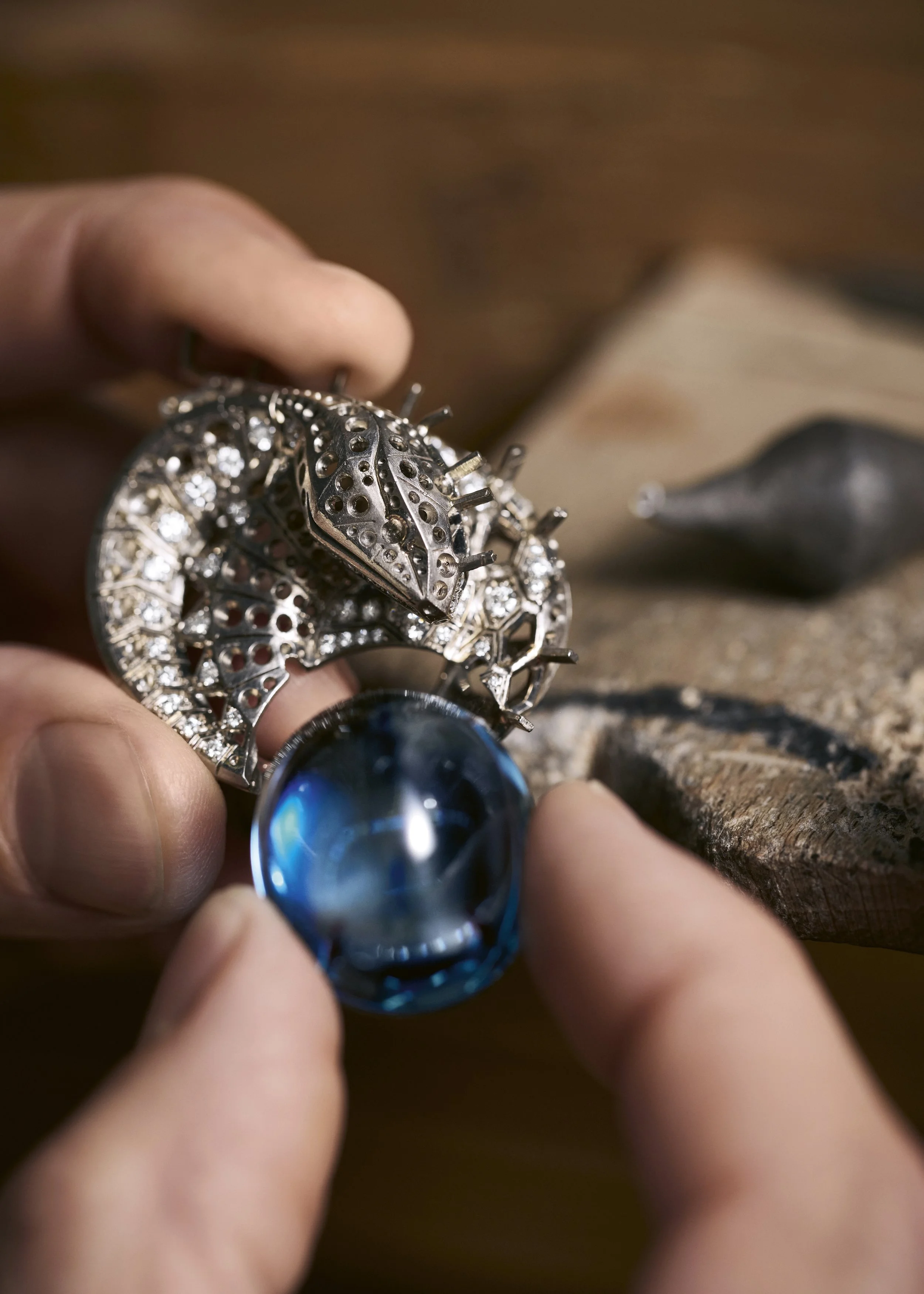 250402_CARTIER_HJ_COLUMBRA_0446.jpg