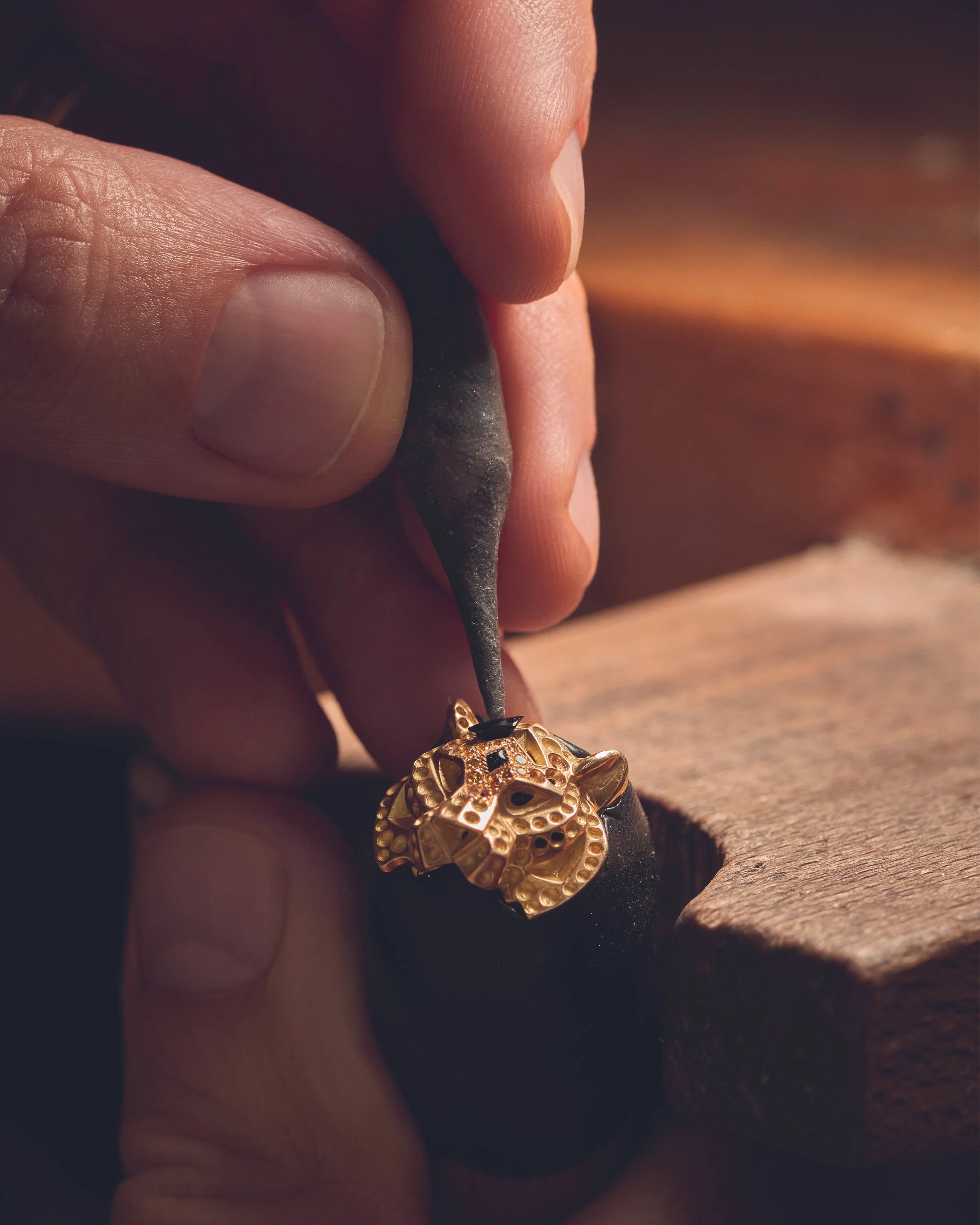 04_SF SET TIGRE_24x30_CMJN23.jpg