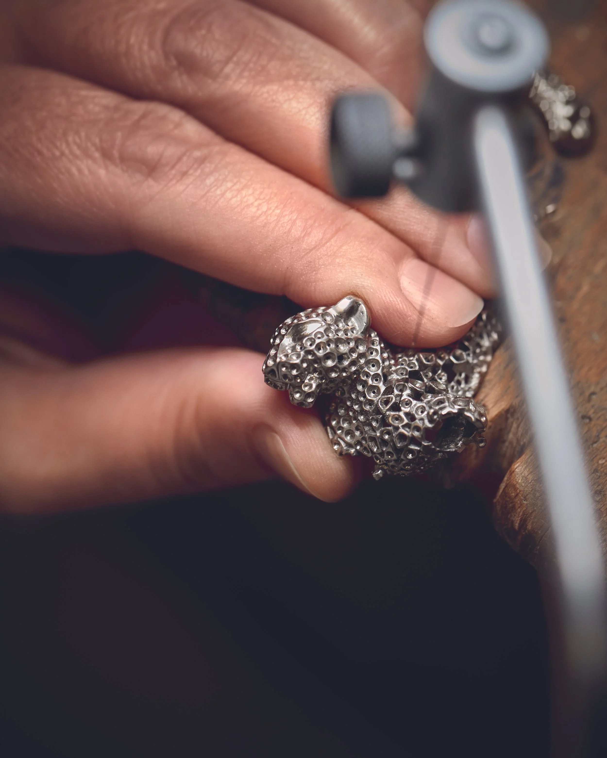 03_SF PAN NAKAVANGO_24x30_CMJN3.jpg