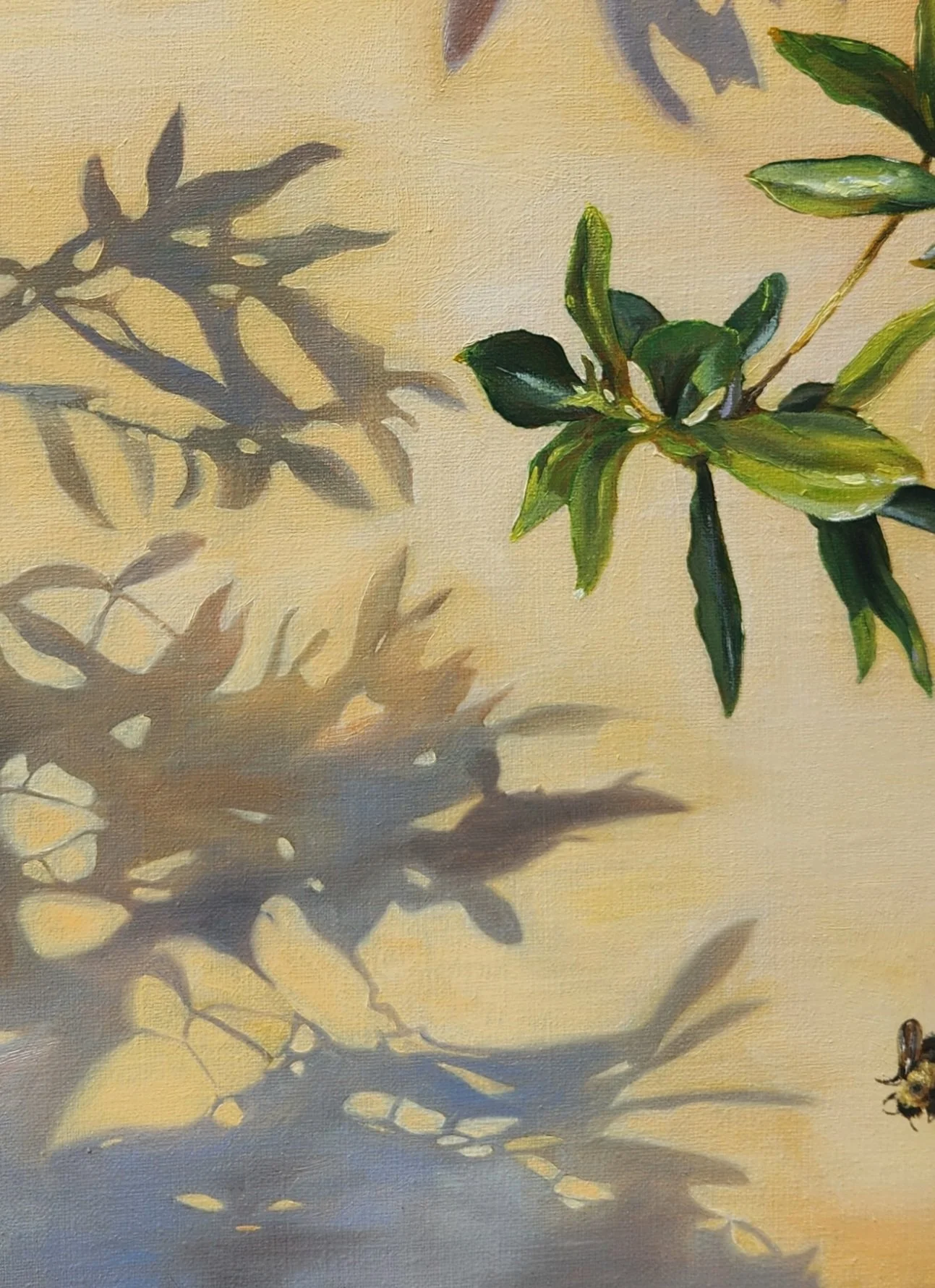 20260716_140613.jpg