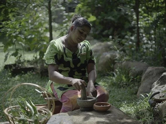 A woman grinding something in a stone mortar outdoors in a green, wooded area.