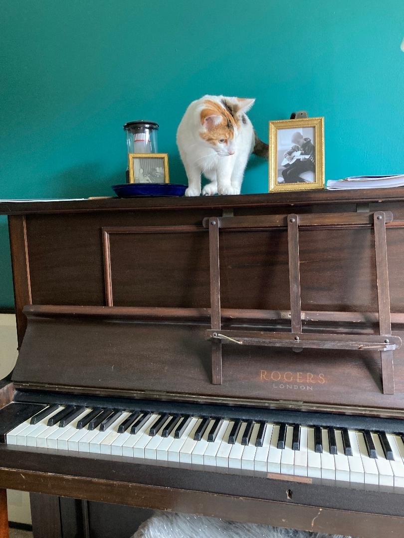A wooden upright piano with a cat standing on top, looking to the side. The piano has framed photographs and a jar on top, against a teal wall.