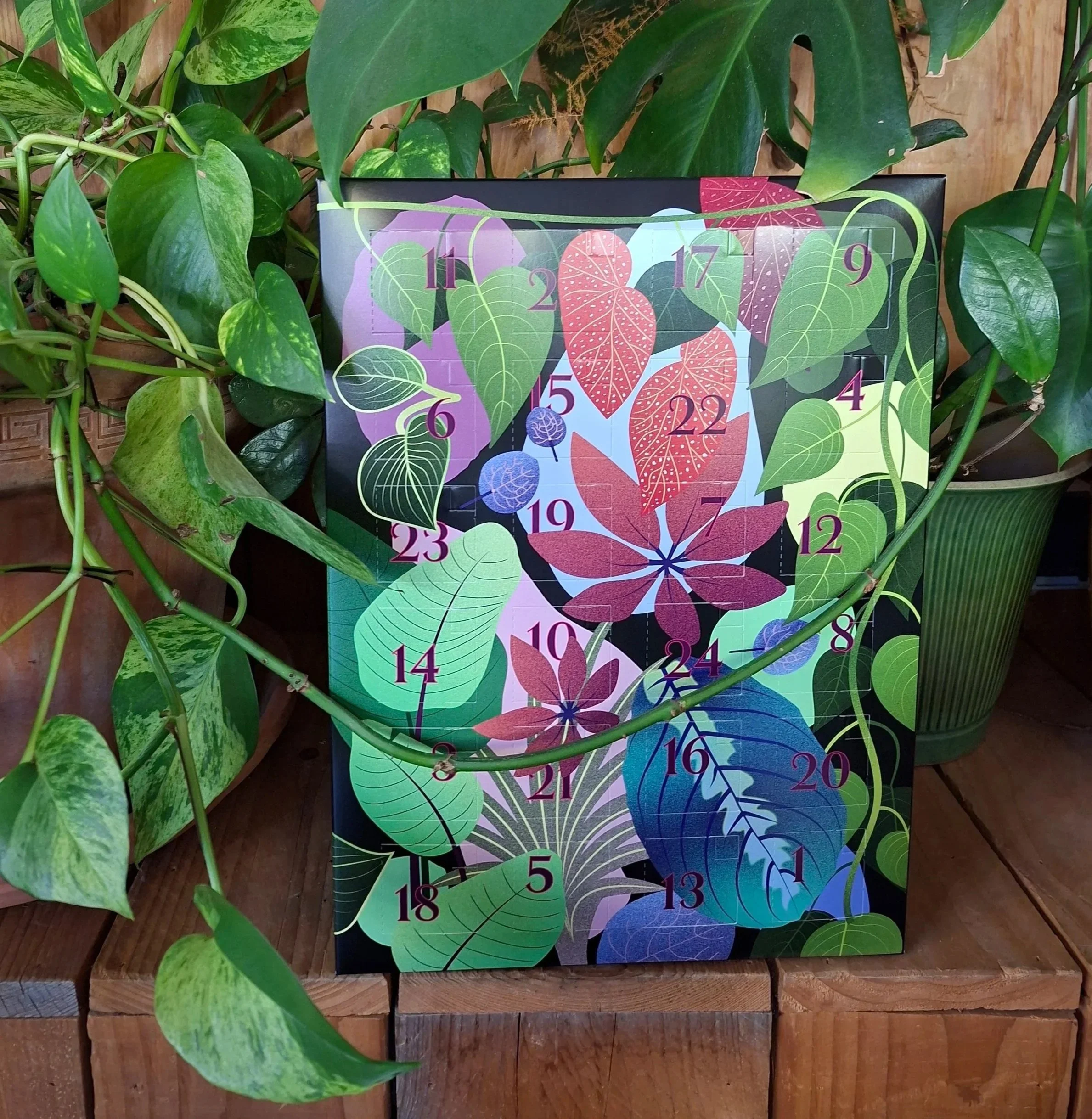 Veganer Adventskalender