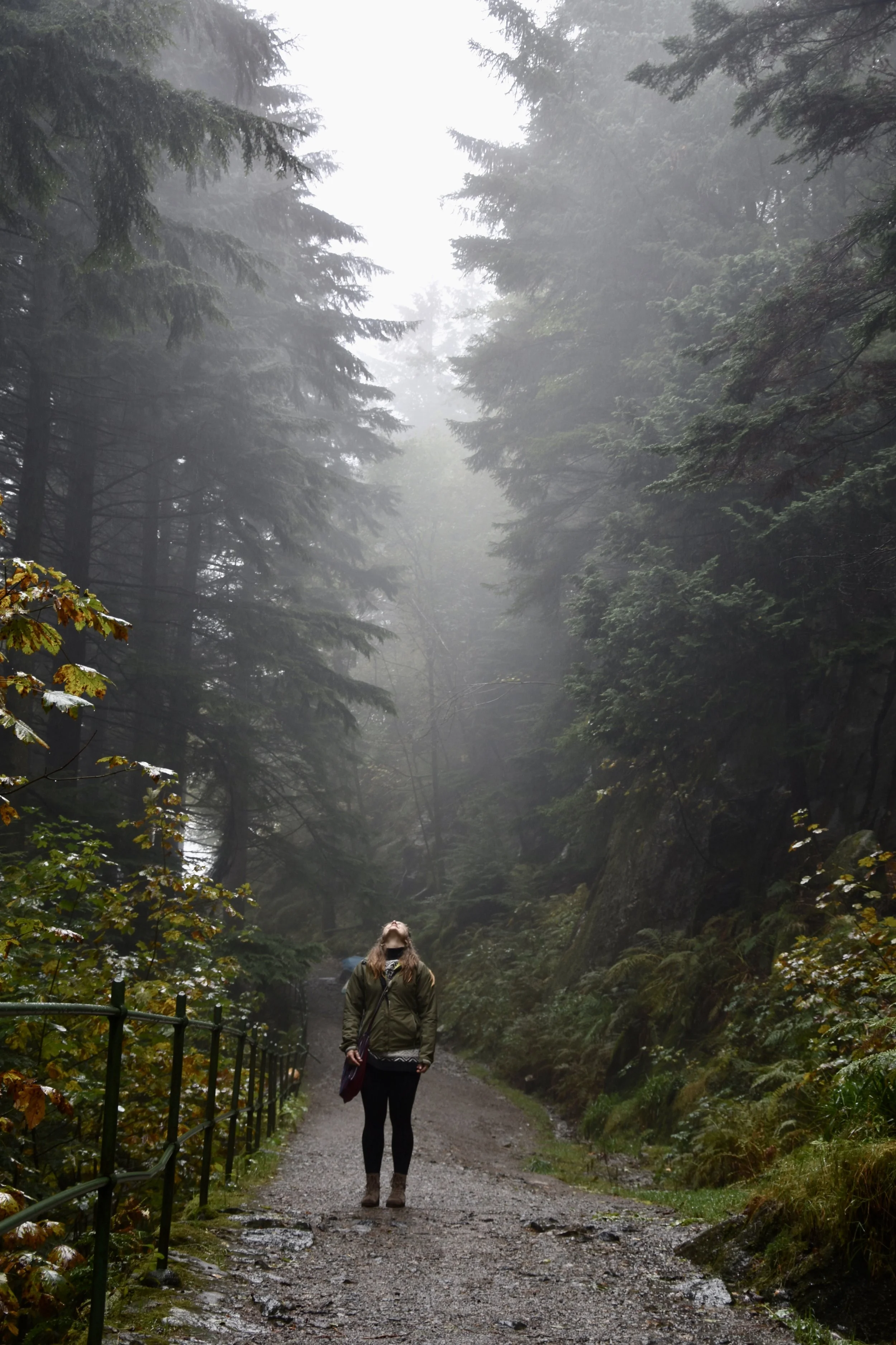 Home: a process of curiosity and connection