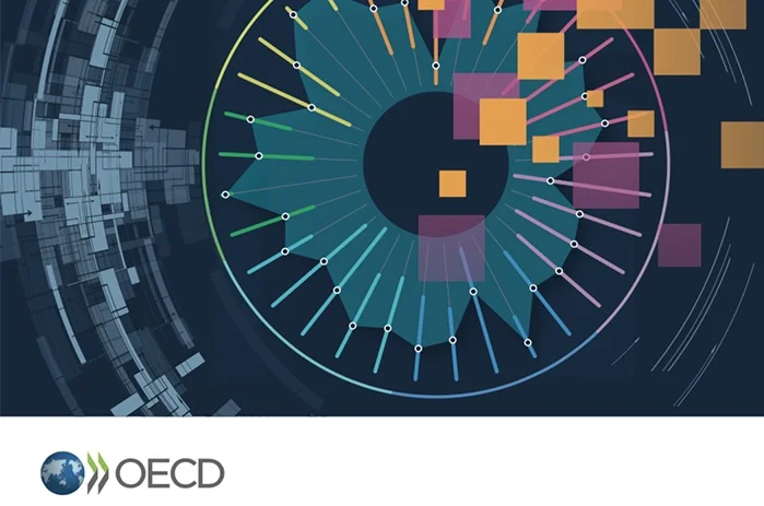 The OECD Uses Glass.AI to Understand Vast Amounts of Text and Gather Insights from The Web.