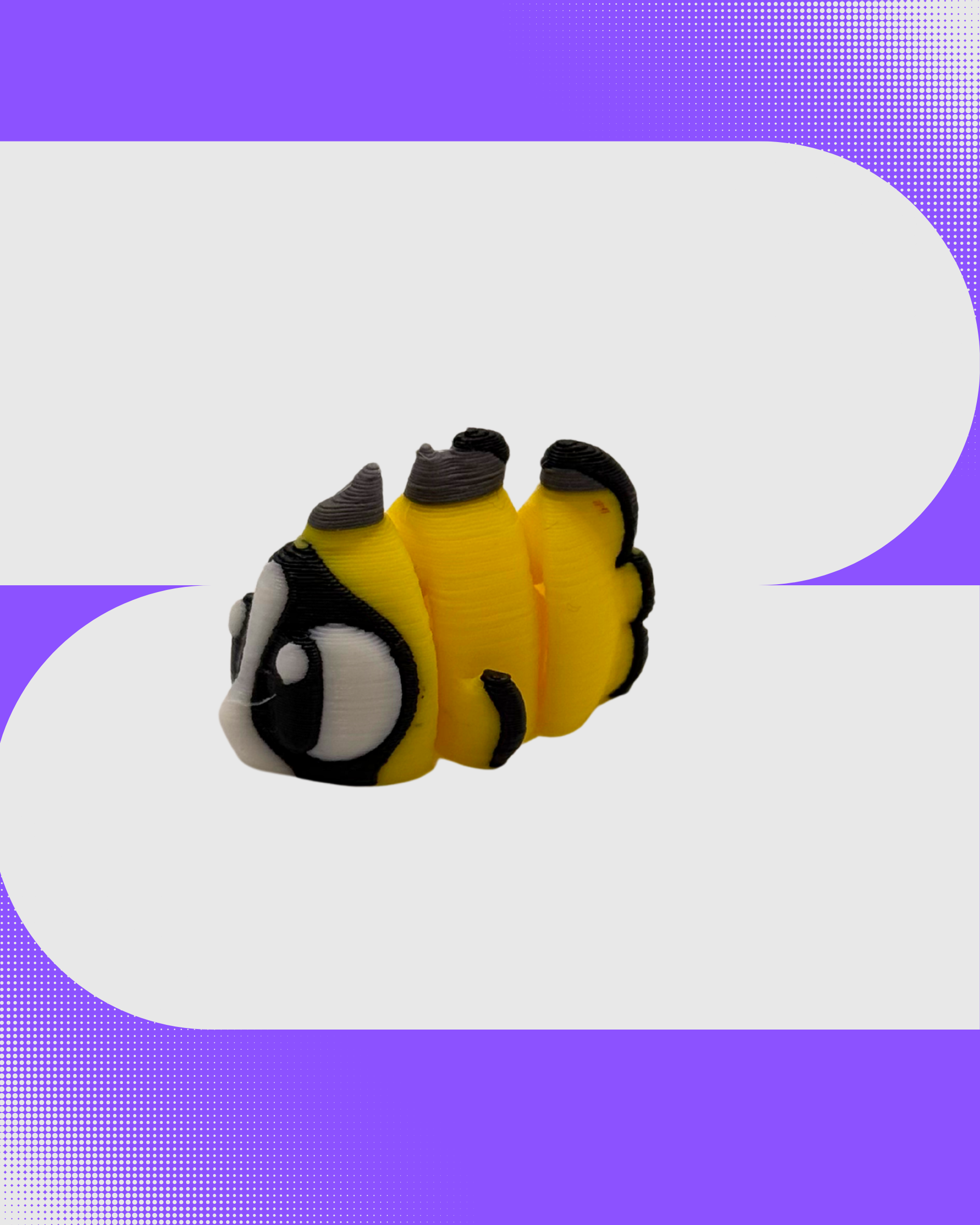 Mini Butterfly fish