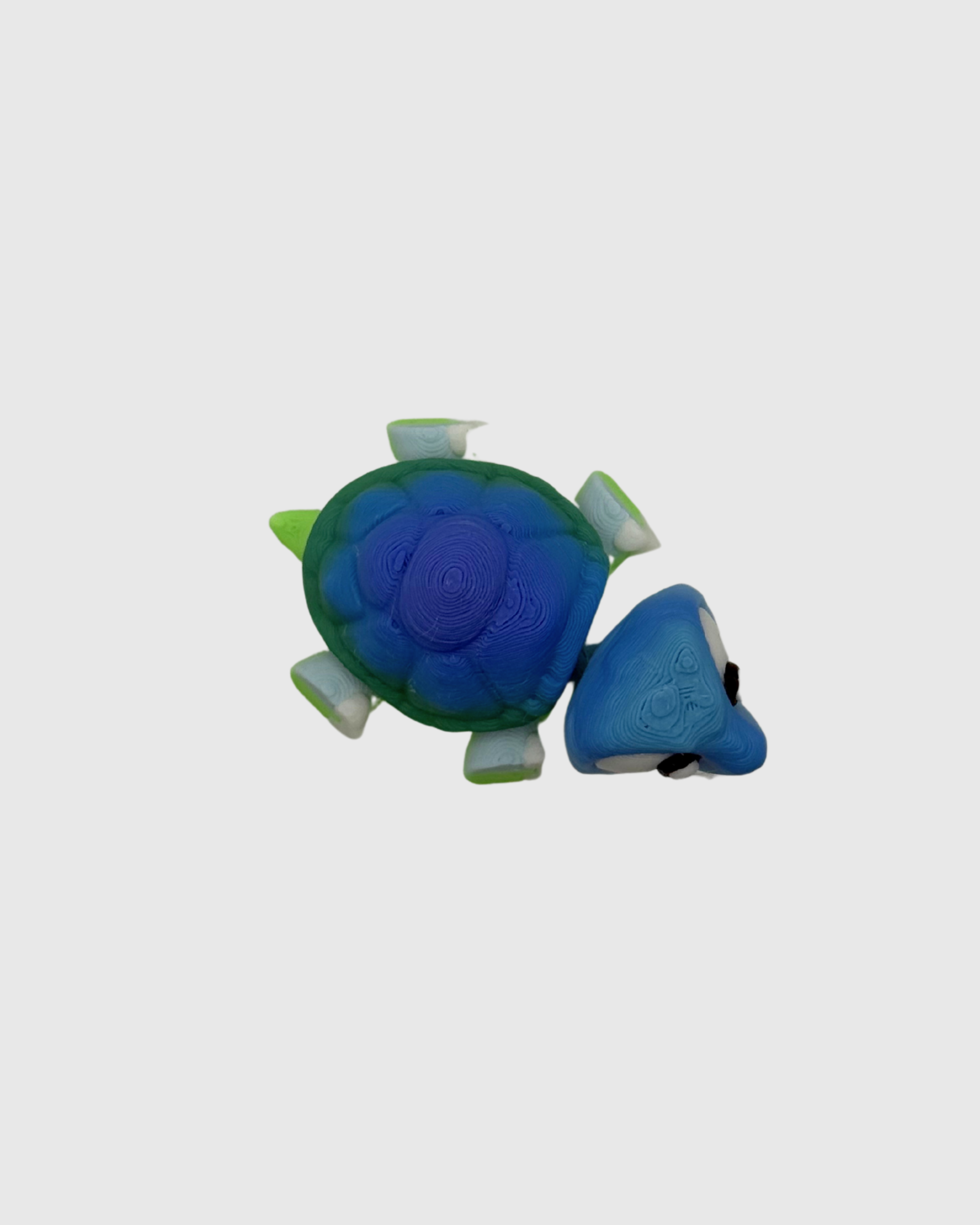 tortoiseb.png