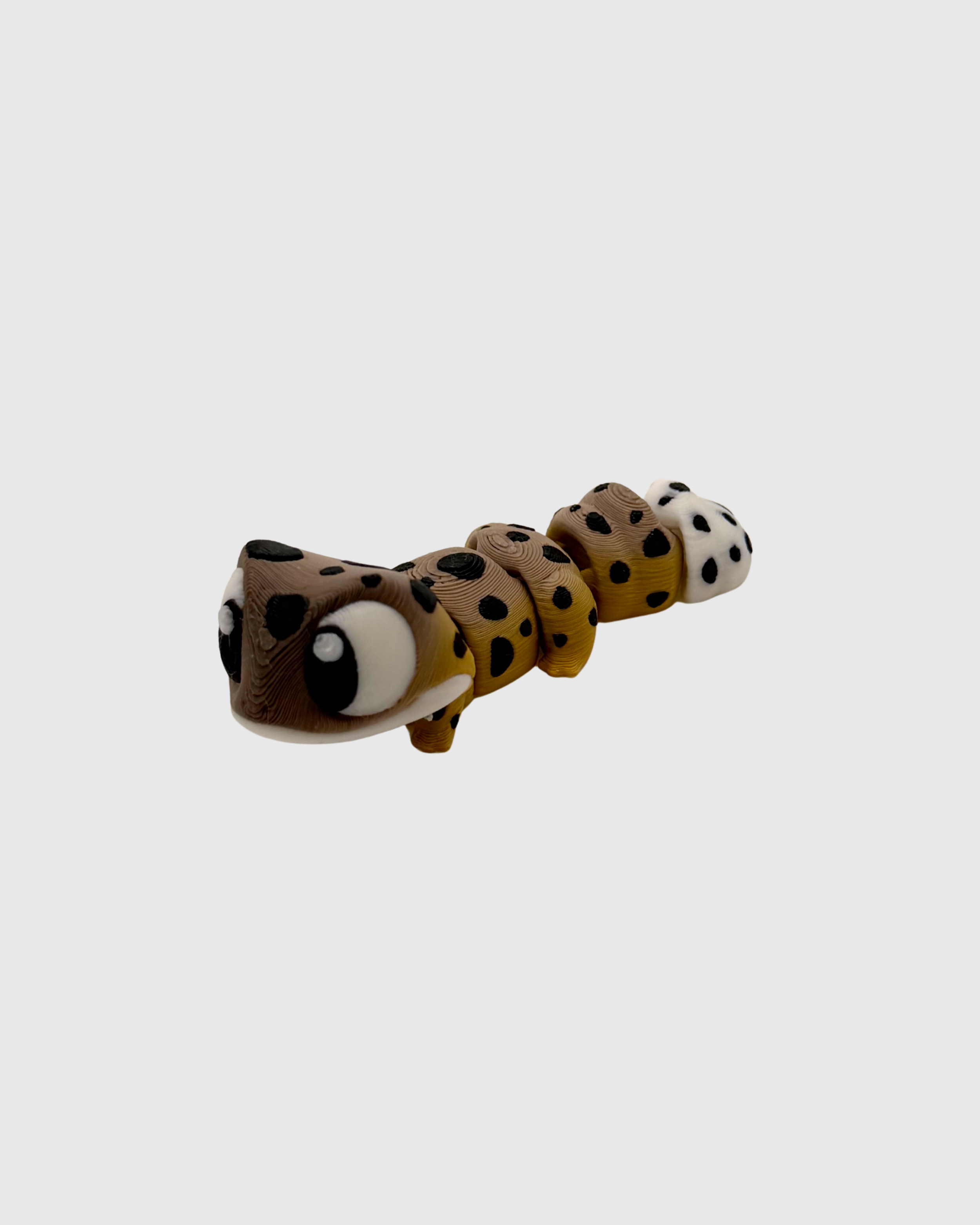 spottygekor.png