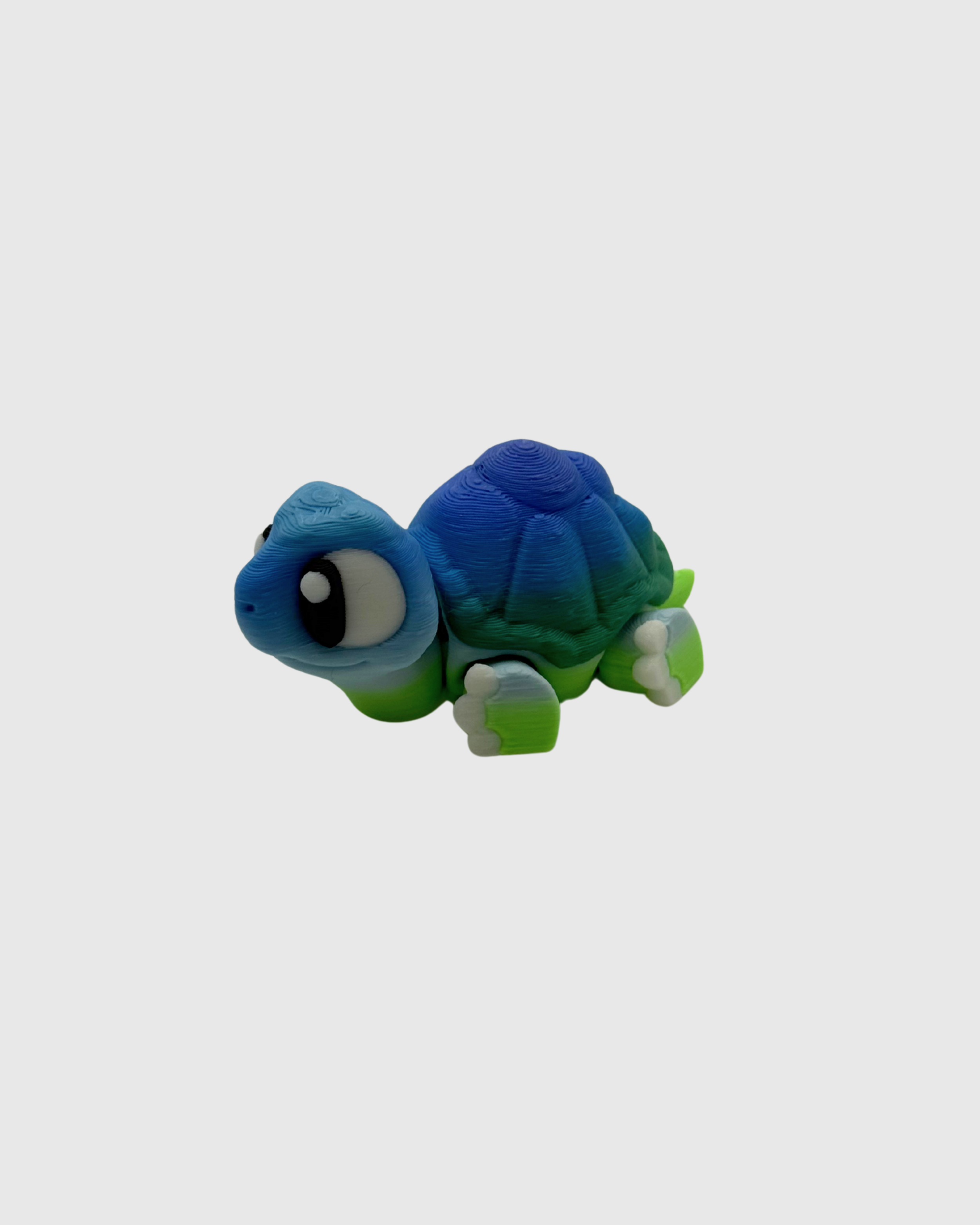 tortoiser.png