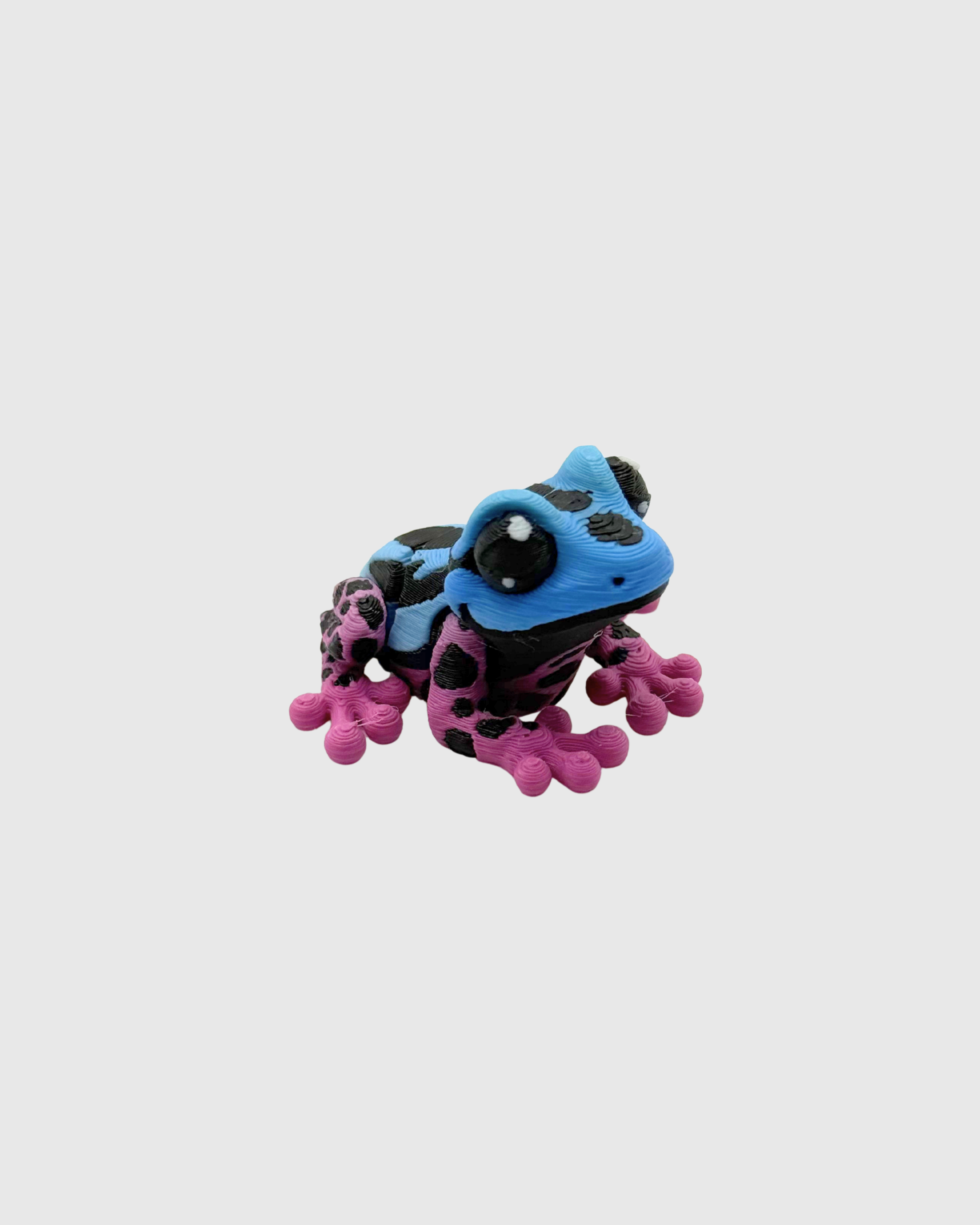 poison dart frog.png
