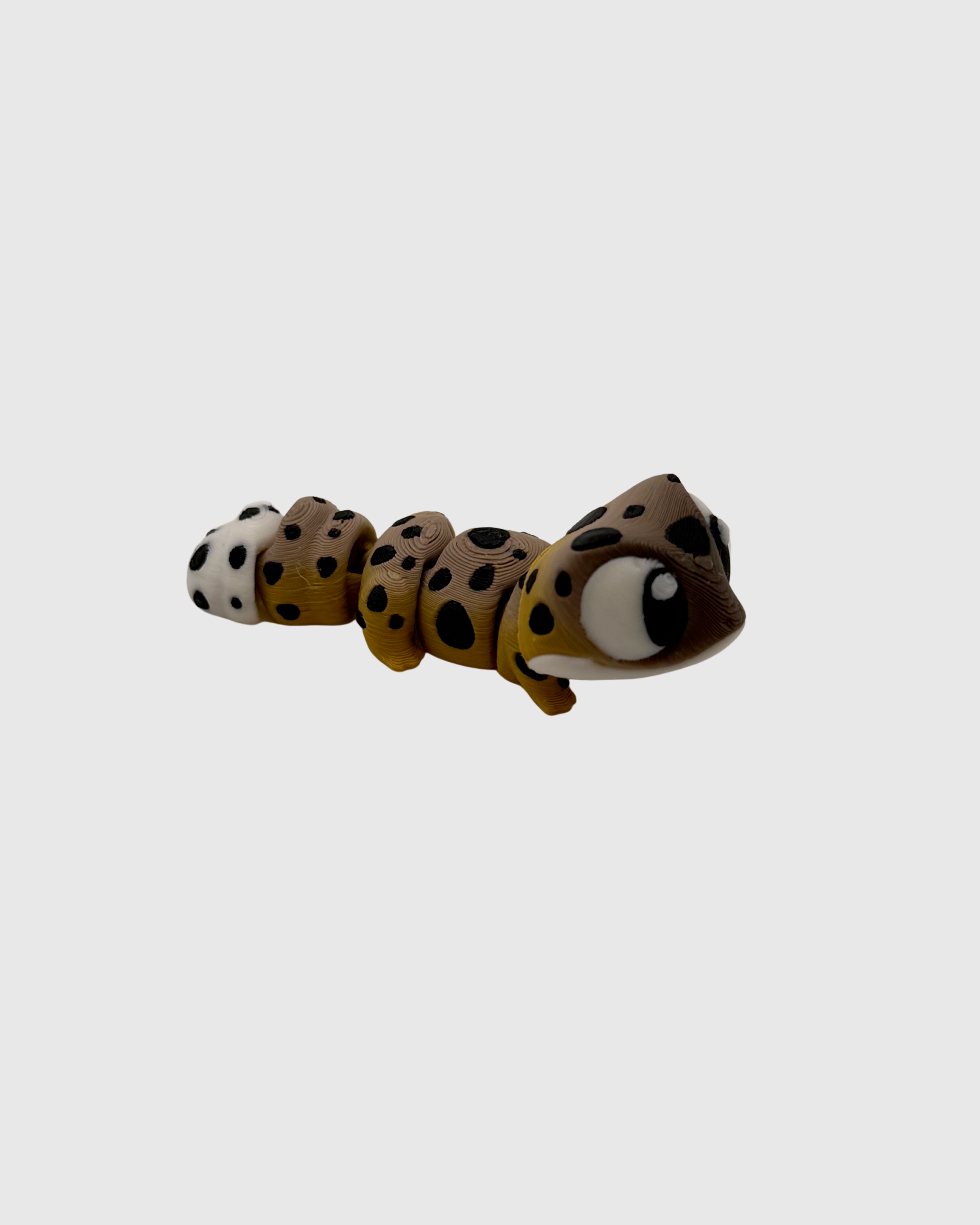 spottygekol.png