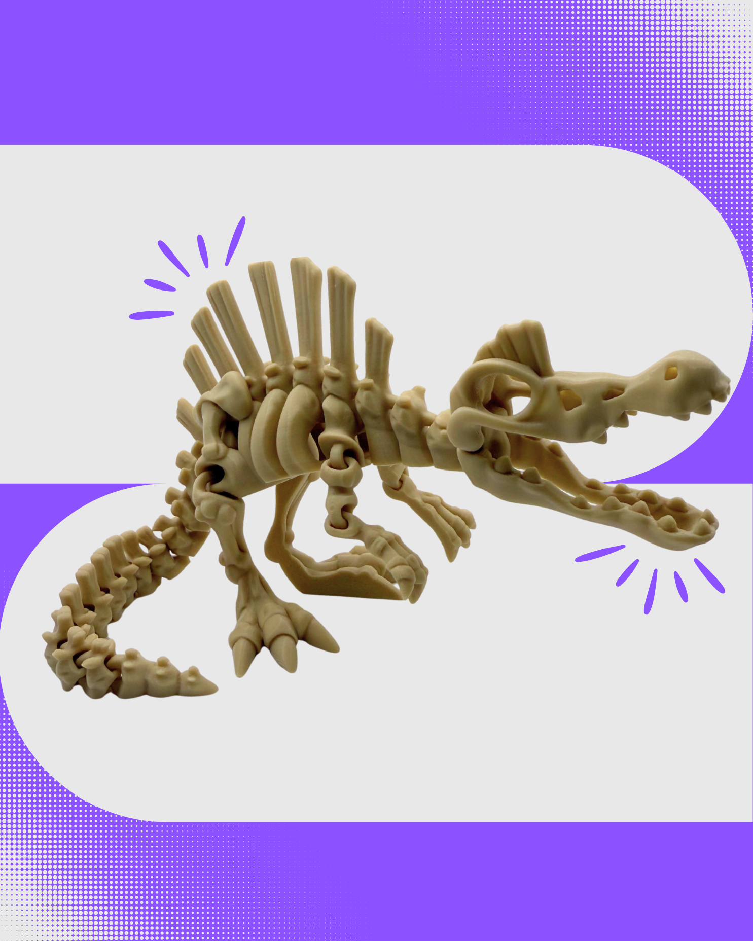 Bone Spinosaurus