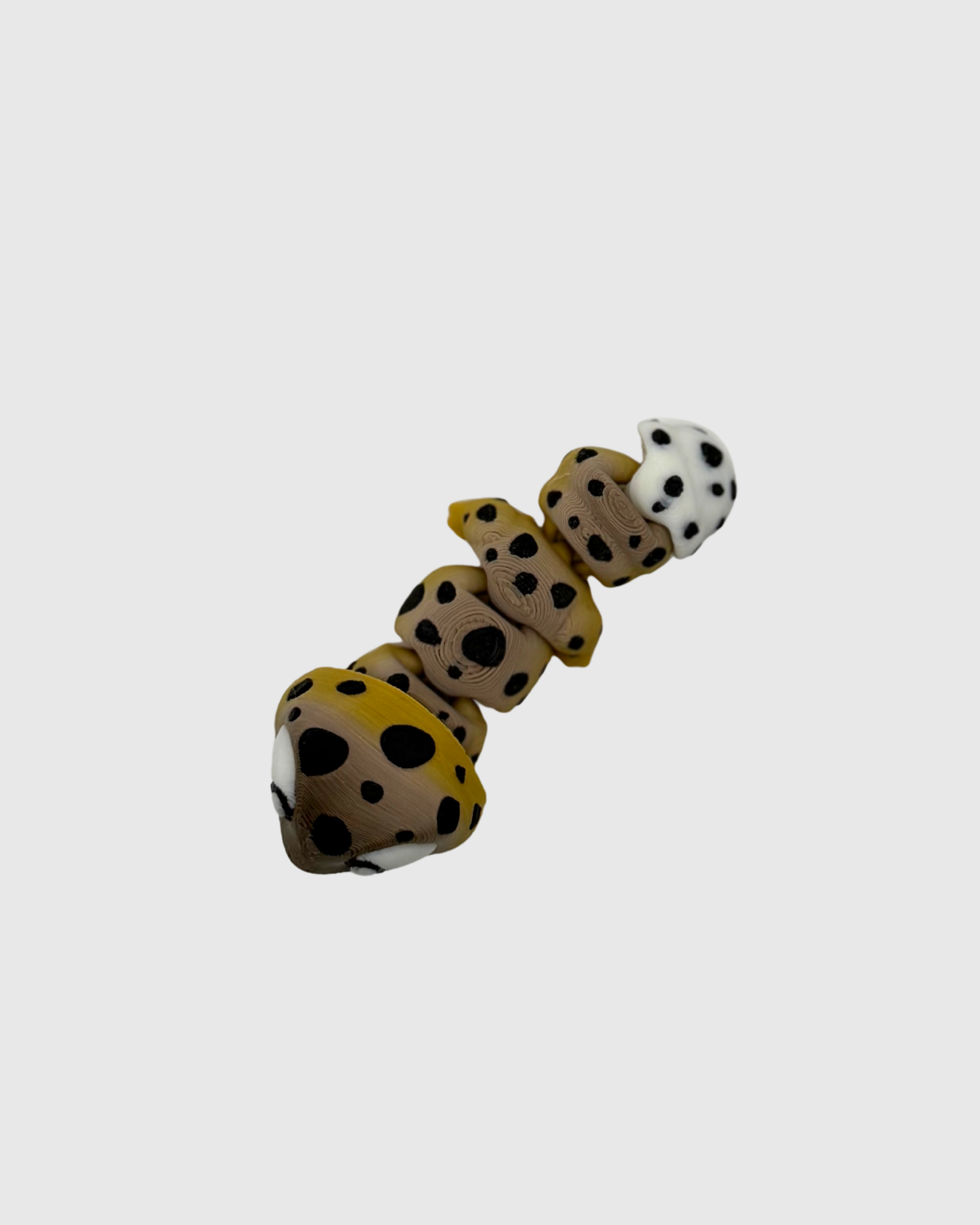 spottygekob.png
