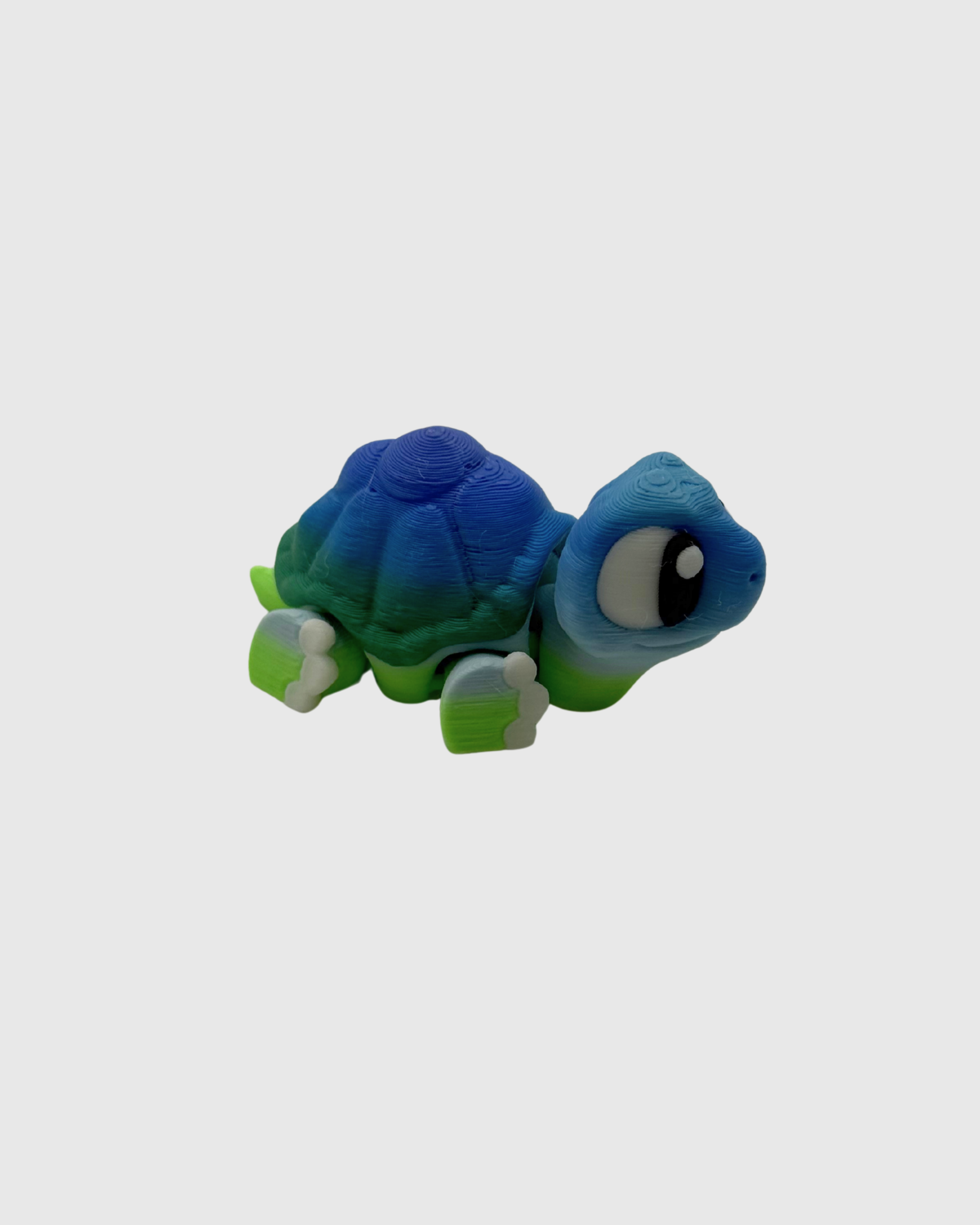 tortoisel.png