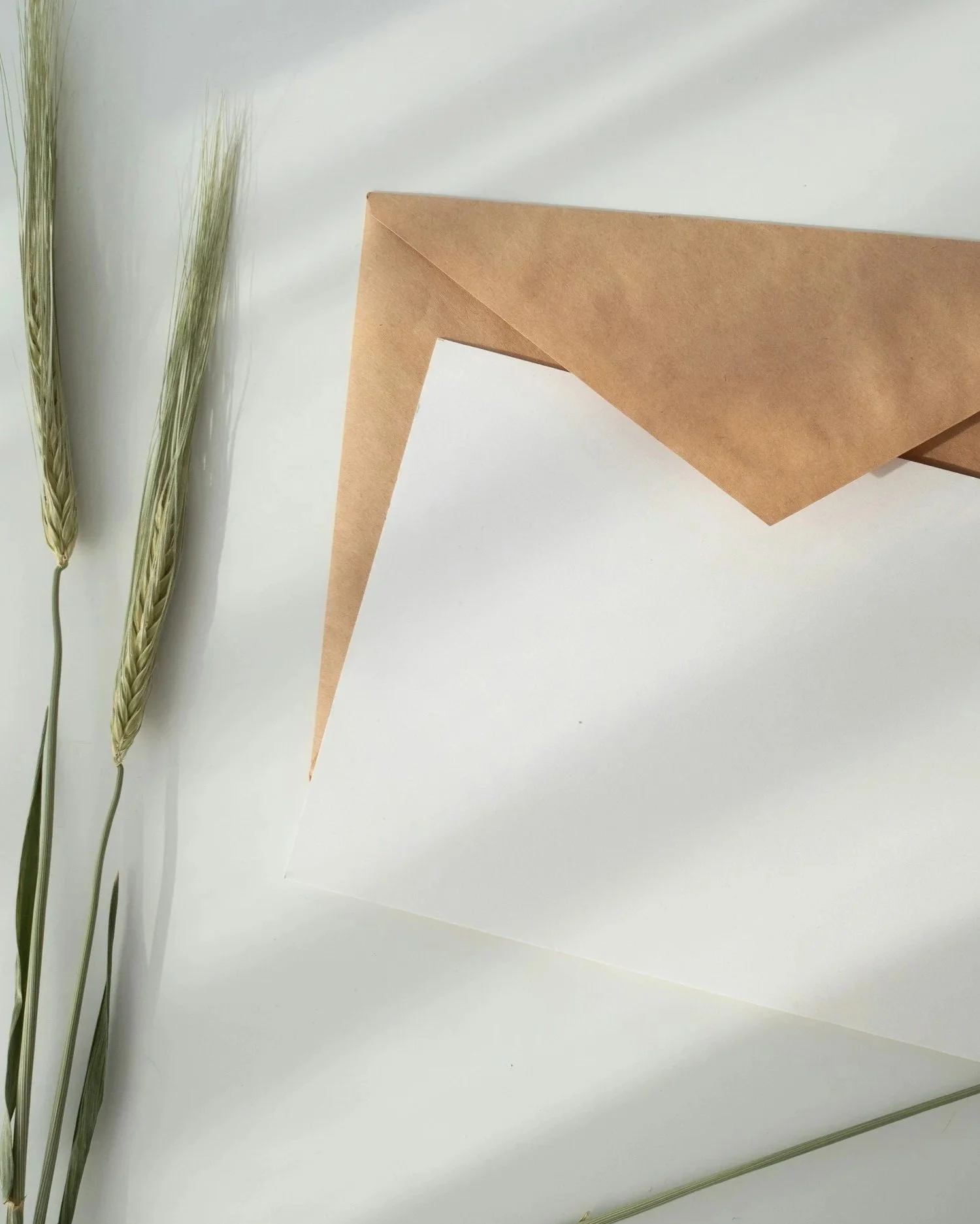 Two stalks of wheat and two sheets of white and brown paper placed on a white surface.