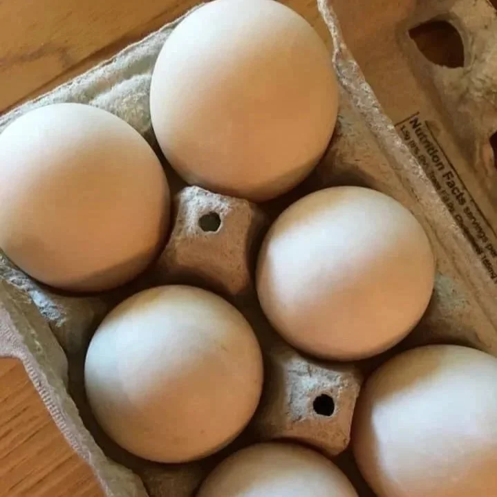 Six white eggs in a cardboard egg carton on a wooden surface.