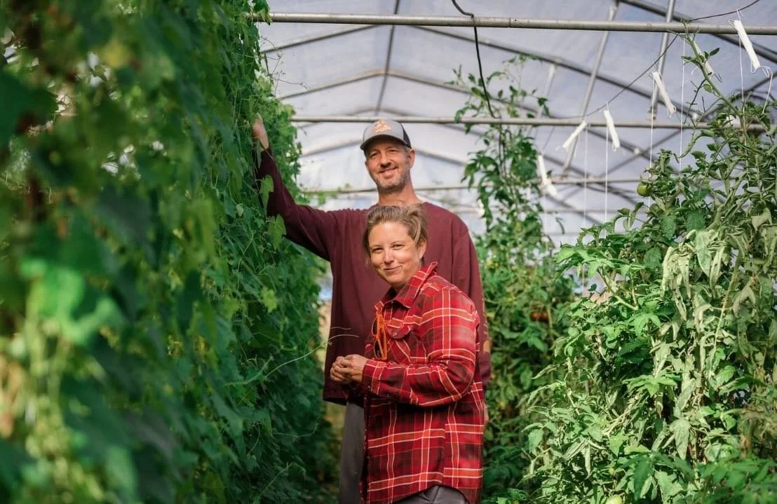A man and woman smiling inside a greenhouse with rows of green tomato plants.