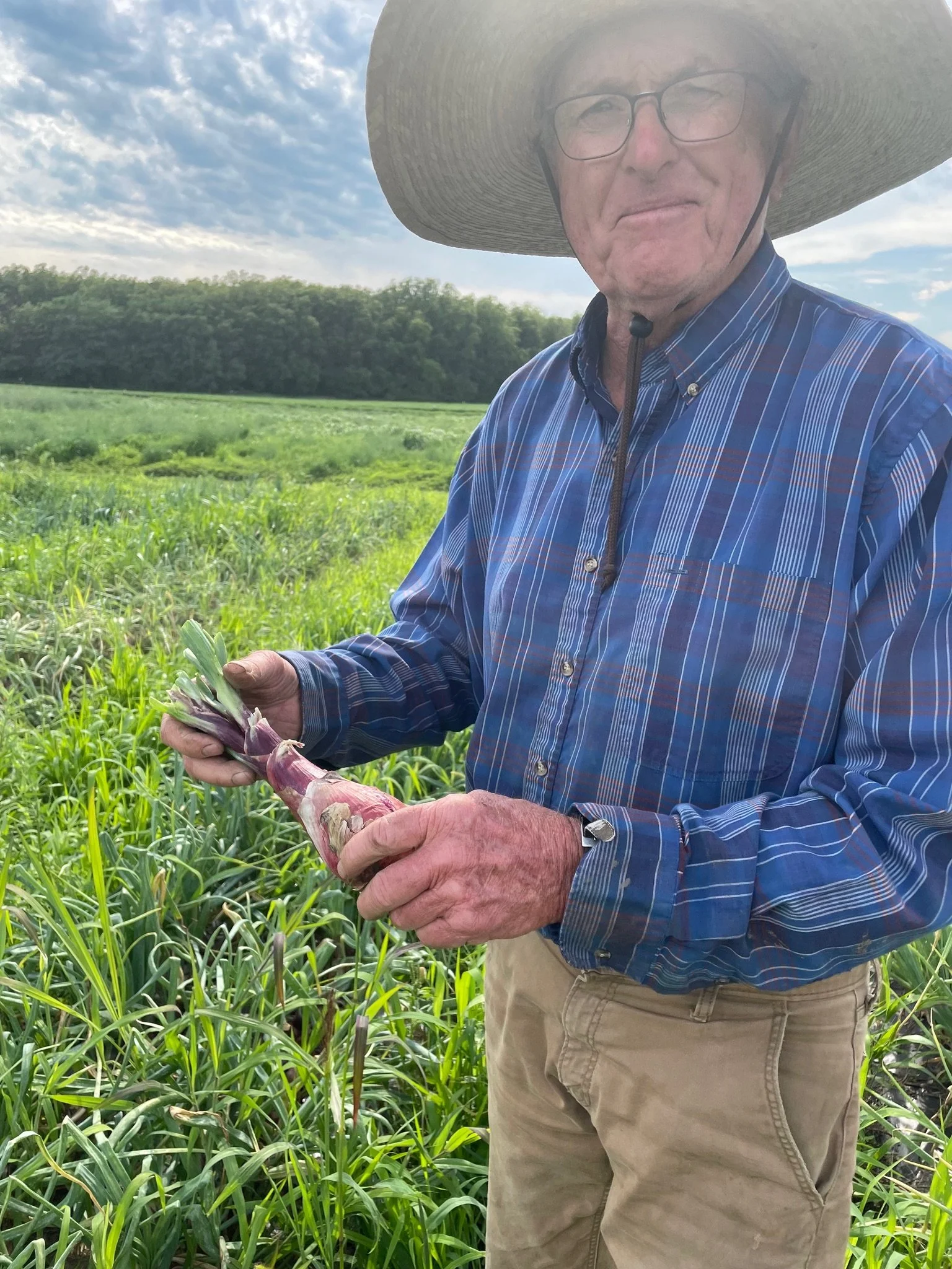 A man in a blue striped shirt, beige pants, and large straw hat holding an artichoke plant in a green field under a partly cloudy sky.