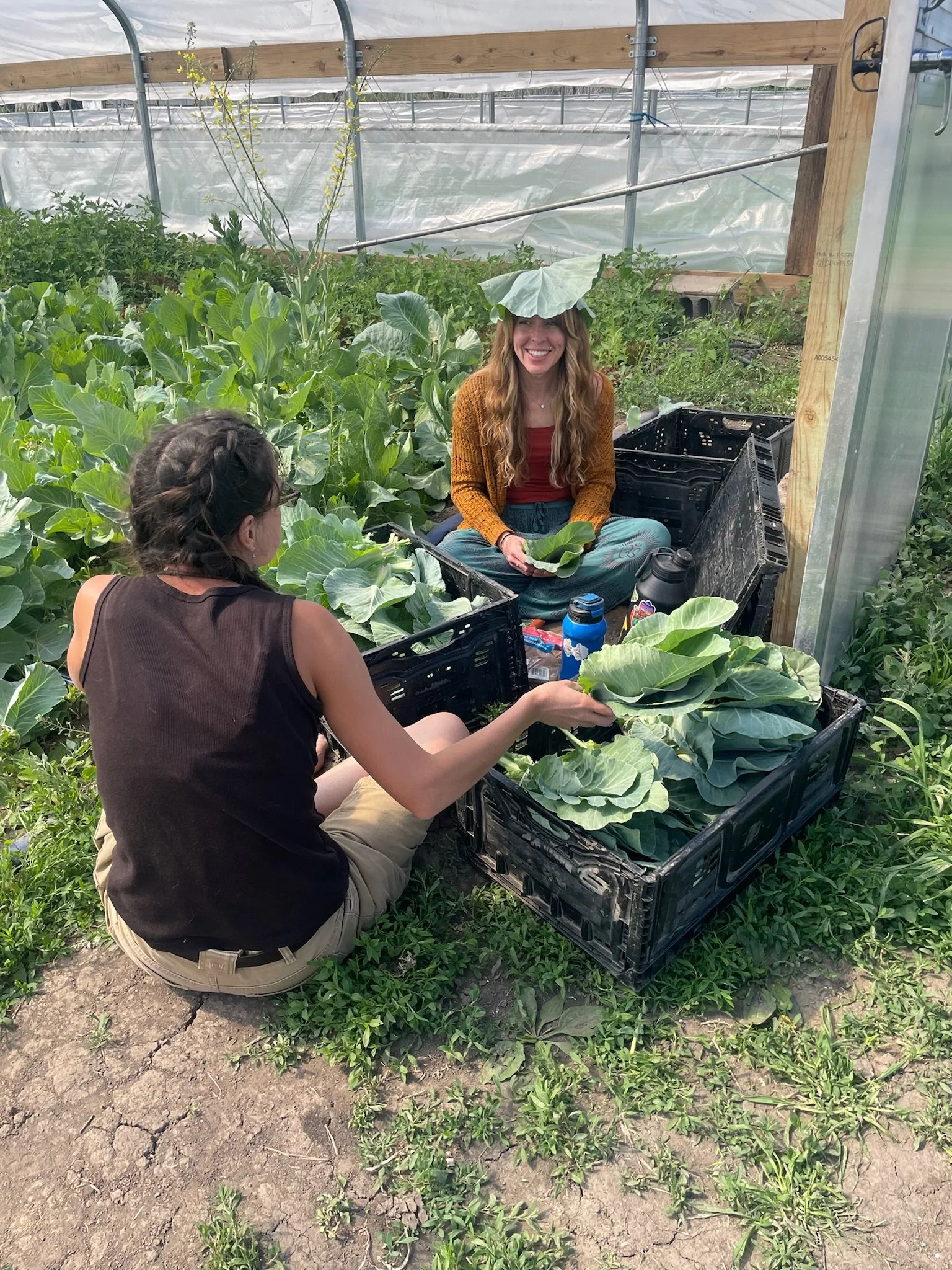 Two women inside a greenhouse surrounded by large leafy green vegetables. One woman is sitting in a box with a leaf on her head, smiling, while the other woman is handing her a large leaf. There are water bottles and gardening supplies nearby.