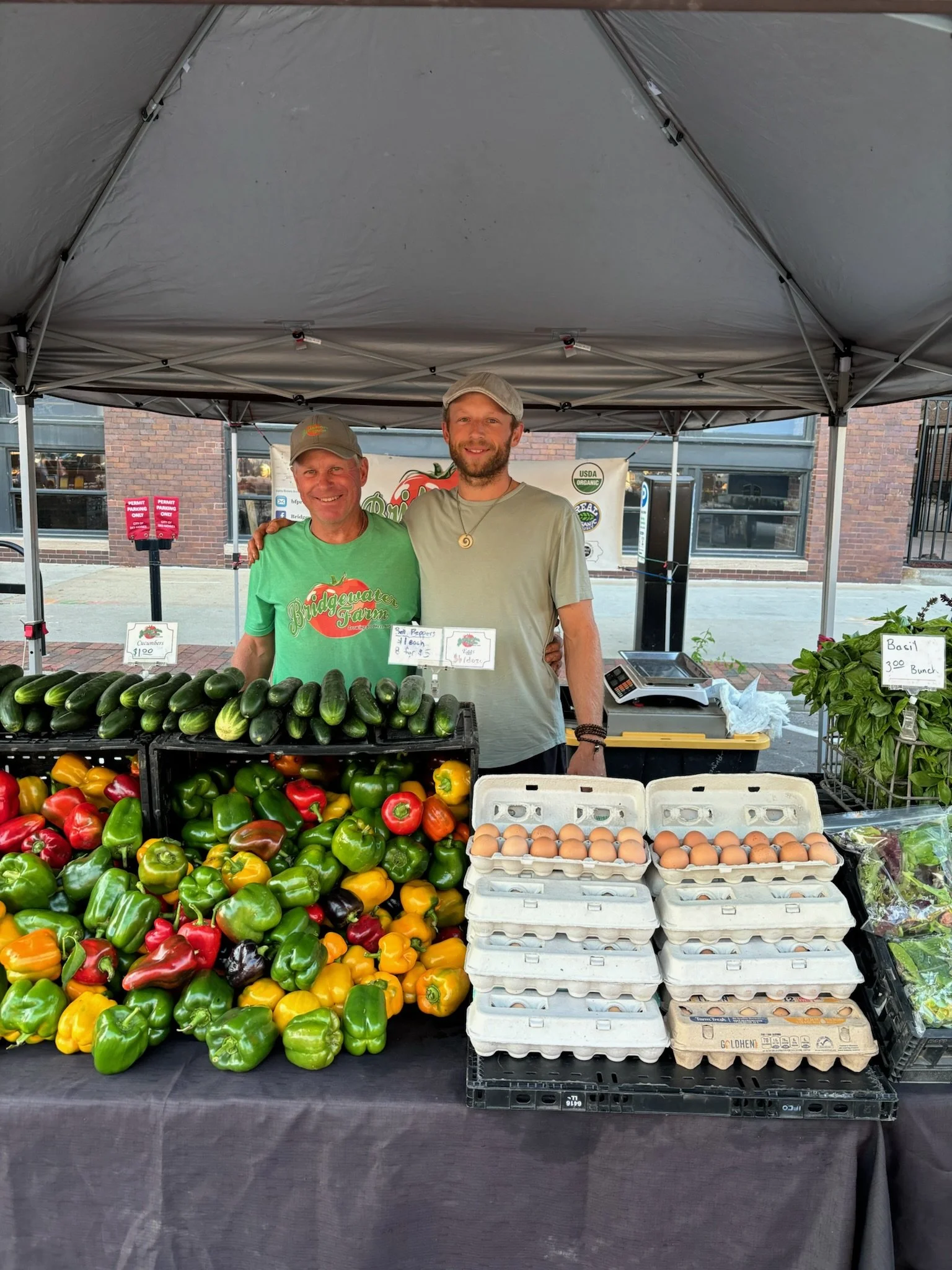 Two men standing behind a table with colorful bell peppers, cucumbers, and cartons of eggs at a farmers' market stall, under a gray canopy.