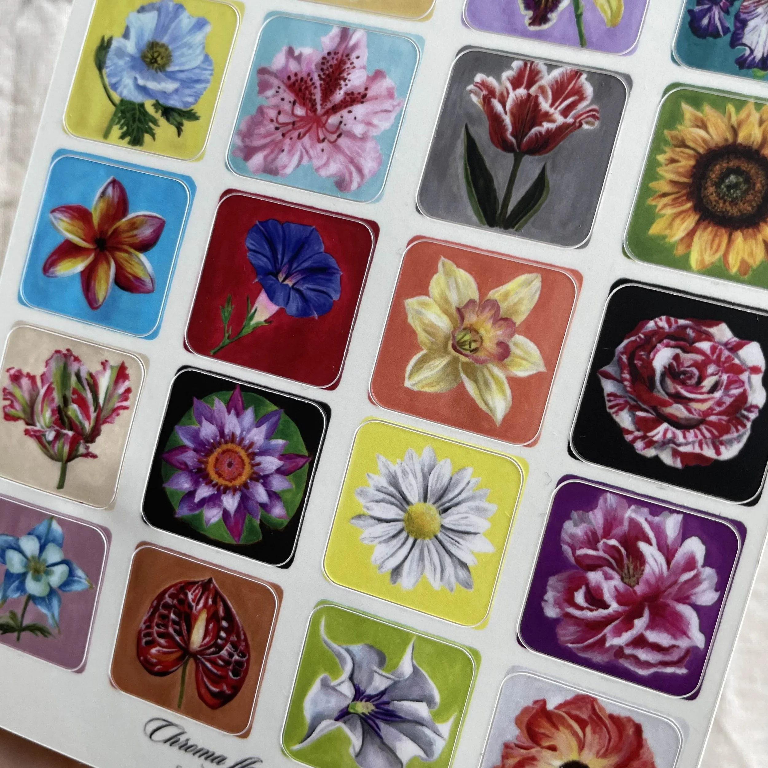 chroma flowers stickers 4.jpg