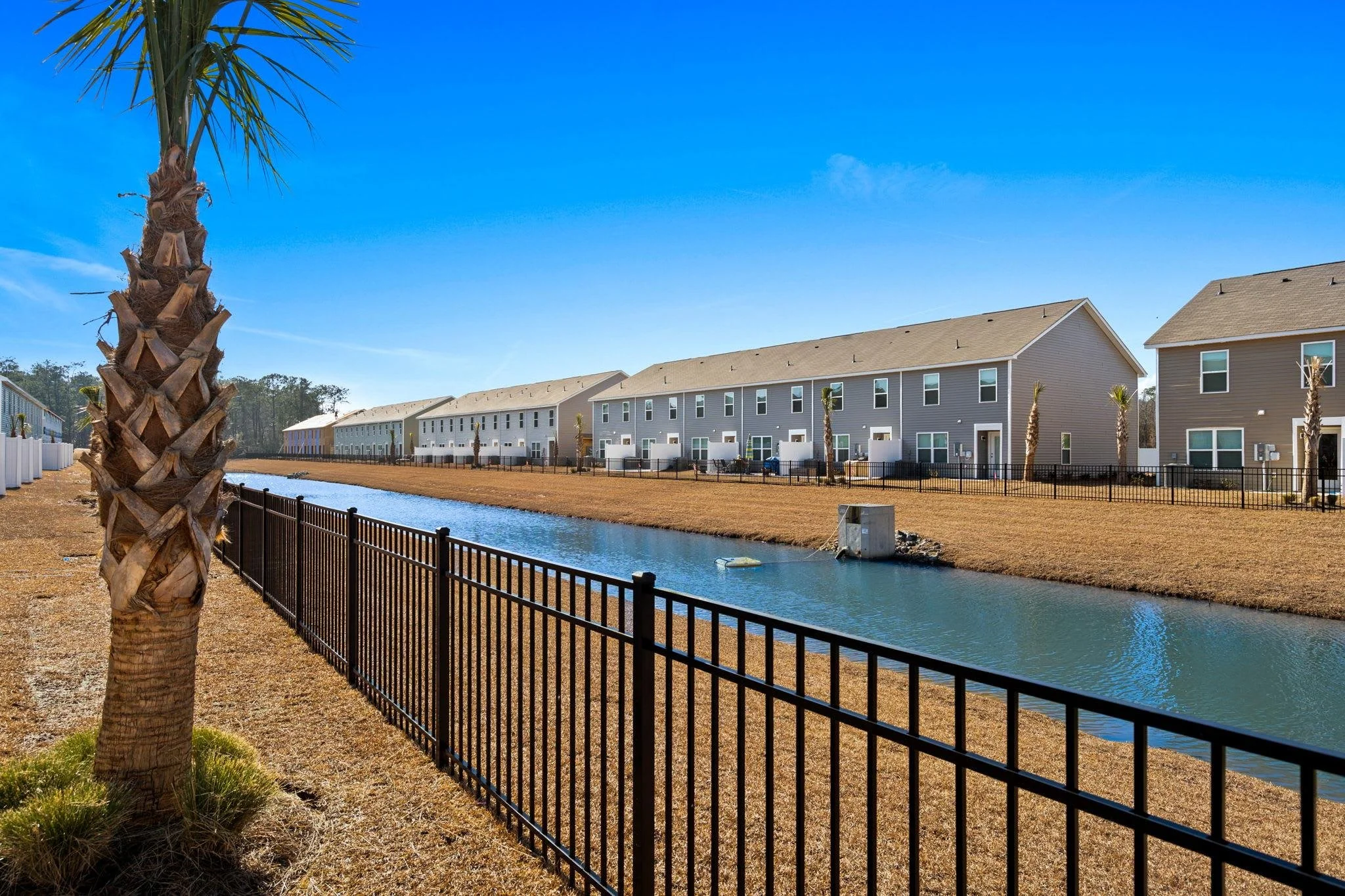 A row of modern townhouses beside a canal with a black metal fence and a palm tree in the foreground under a blue sky.