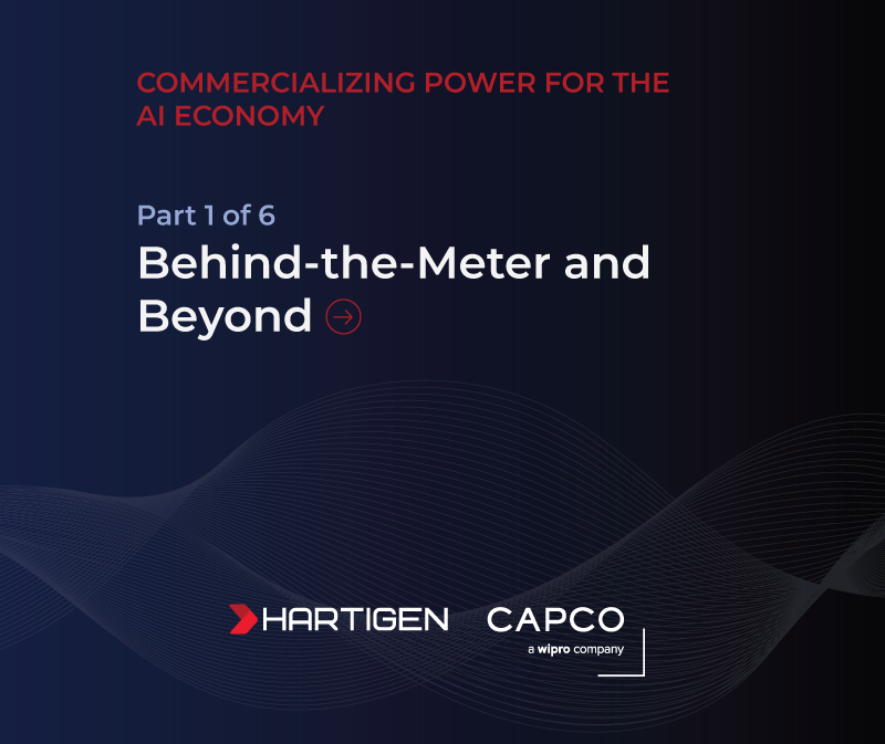 Behind-the-Meter and Beyond