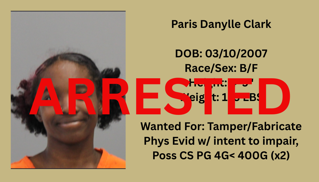 Most Wanted Poster Template (21).png