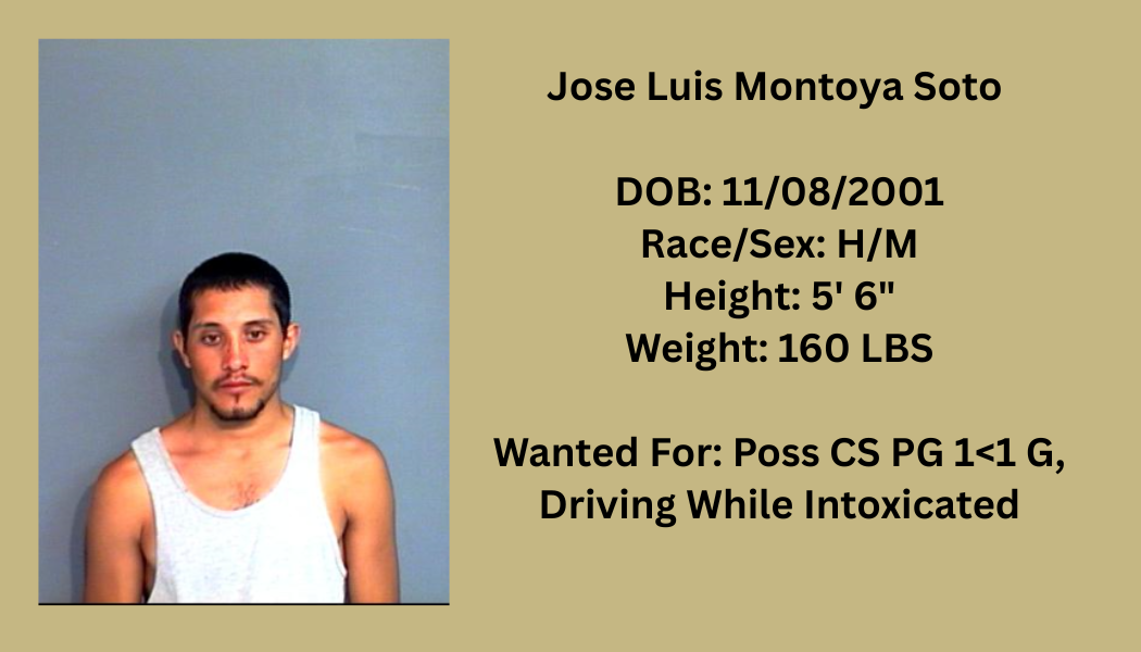 Most Wanted Poster Template (1).png