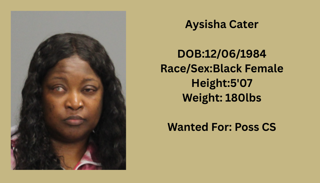 Most Wanted Poster Template (30).png