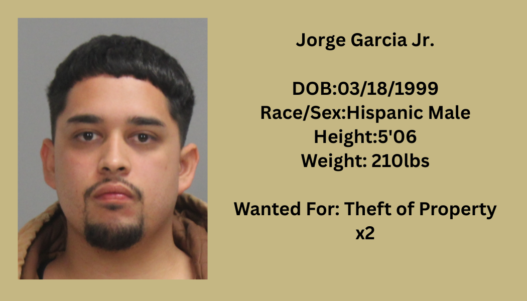 Most Wanted Poster Template (64).png