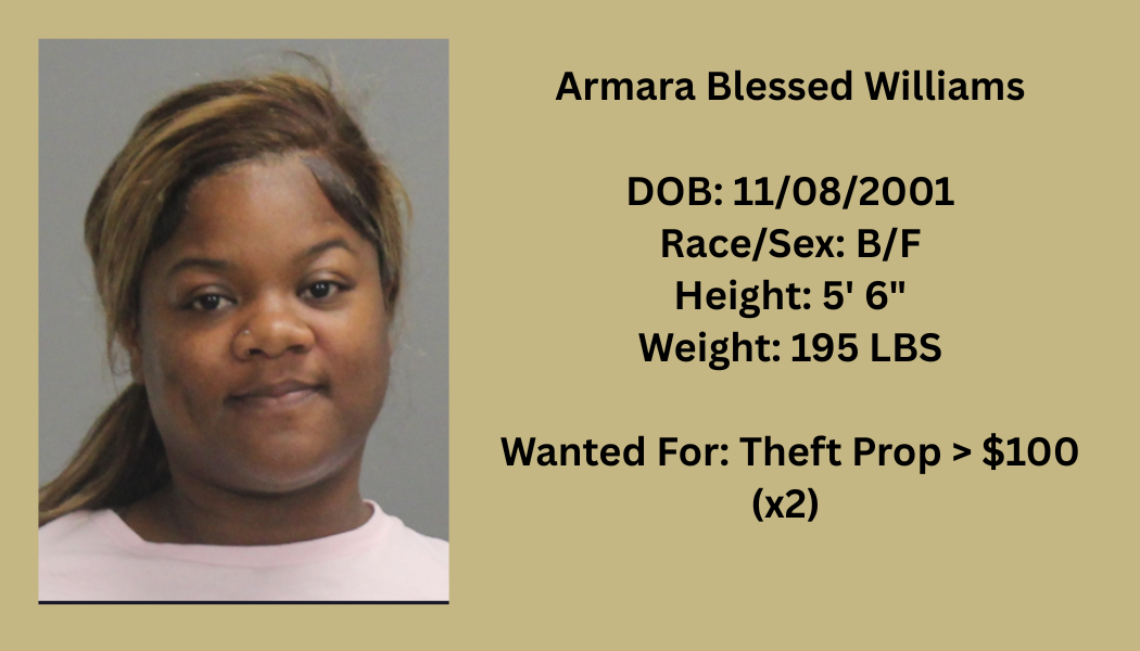 Most Wanted Poster Template (1).png