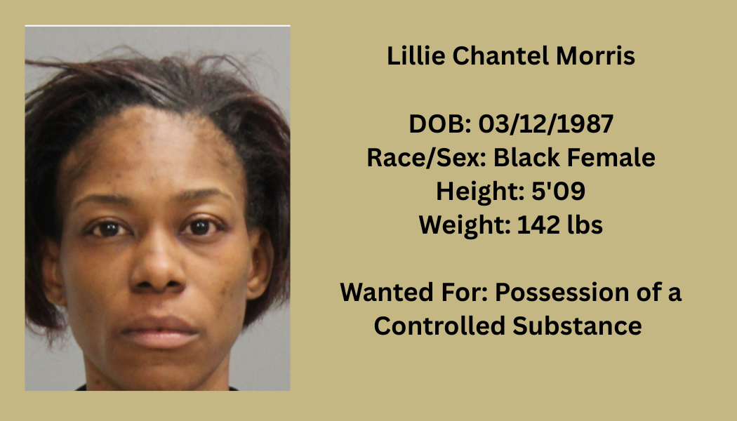Most Wanted Poster Template (25).png