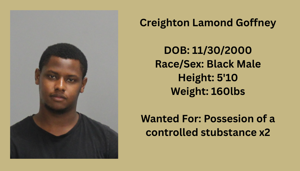 Most Wanted Poster Template (51).png